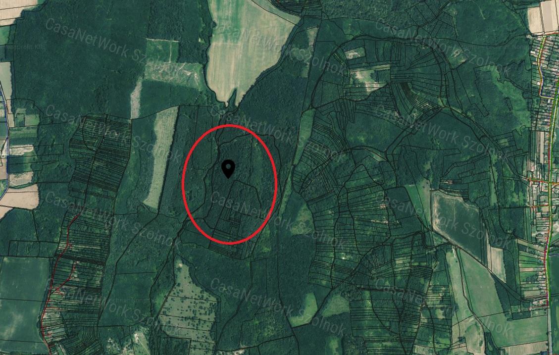 Eladó 6,7864 ha erdő Zala megyében