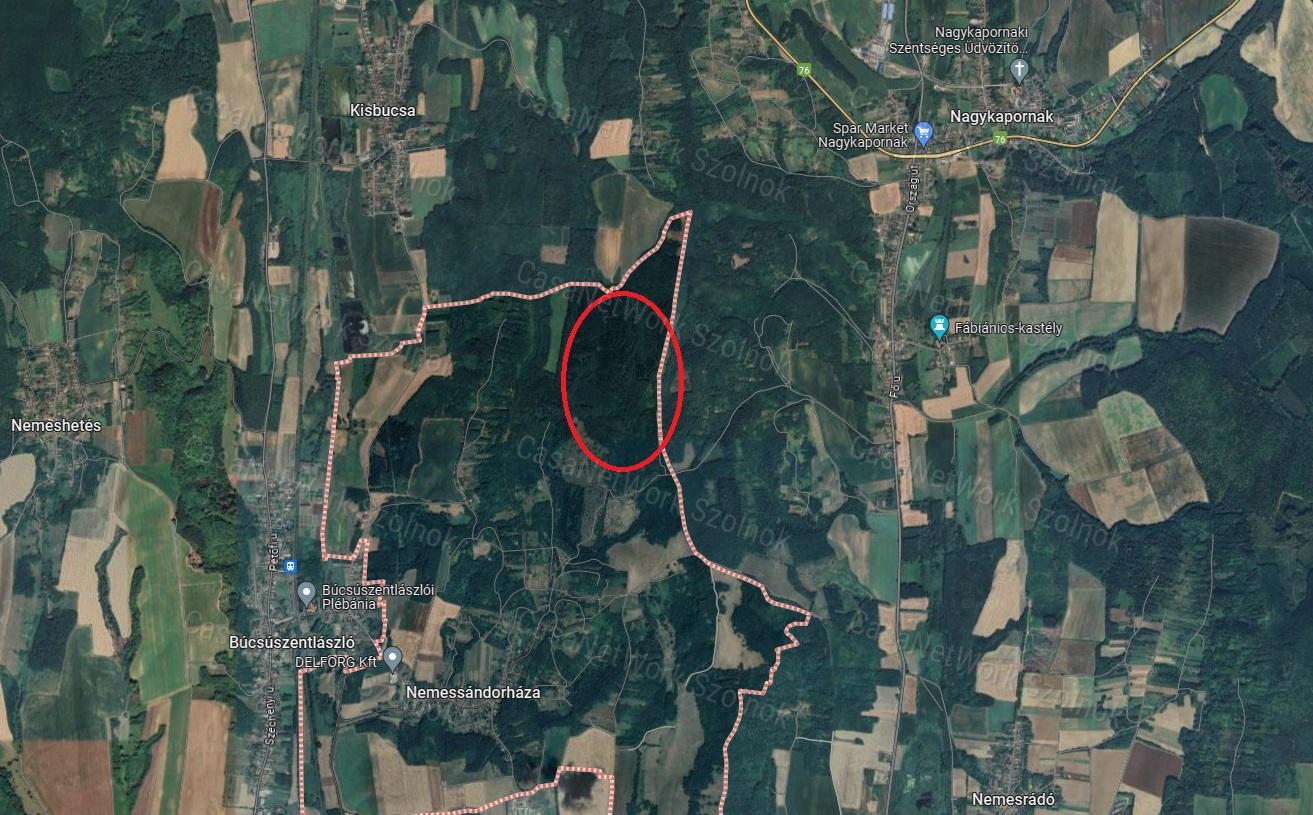Eladó 6,7864 ha erdő Zala megyében