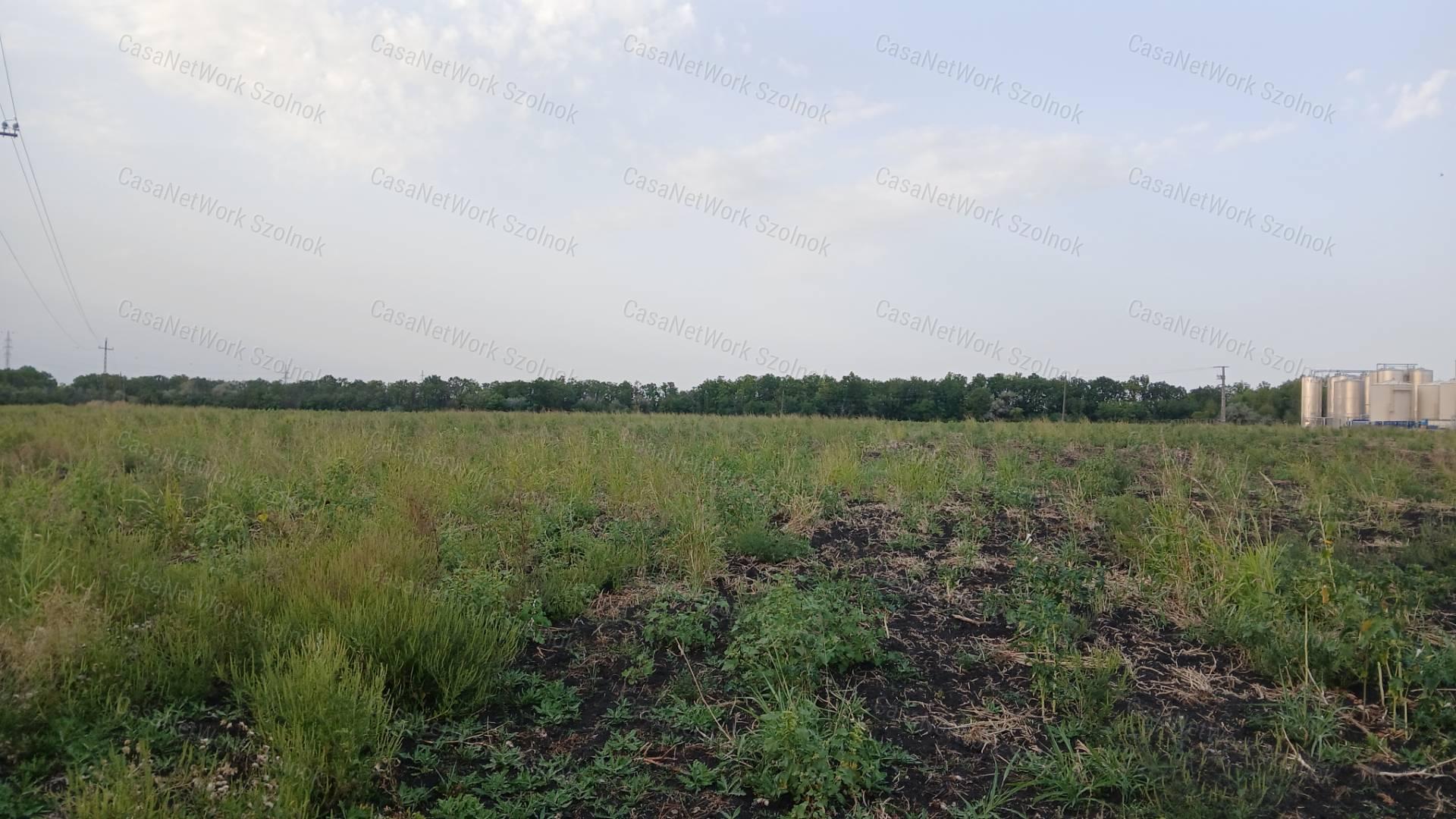 Eladó Szolnokon egy 59522 m2-es ipari terület.