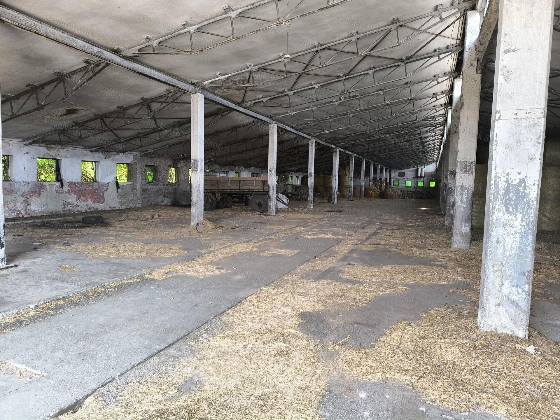 Rákóczifalvai 65000m2-es Majorság eladó!