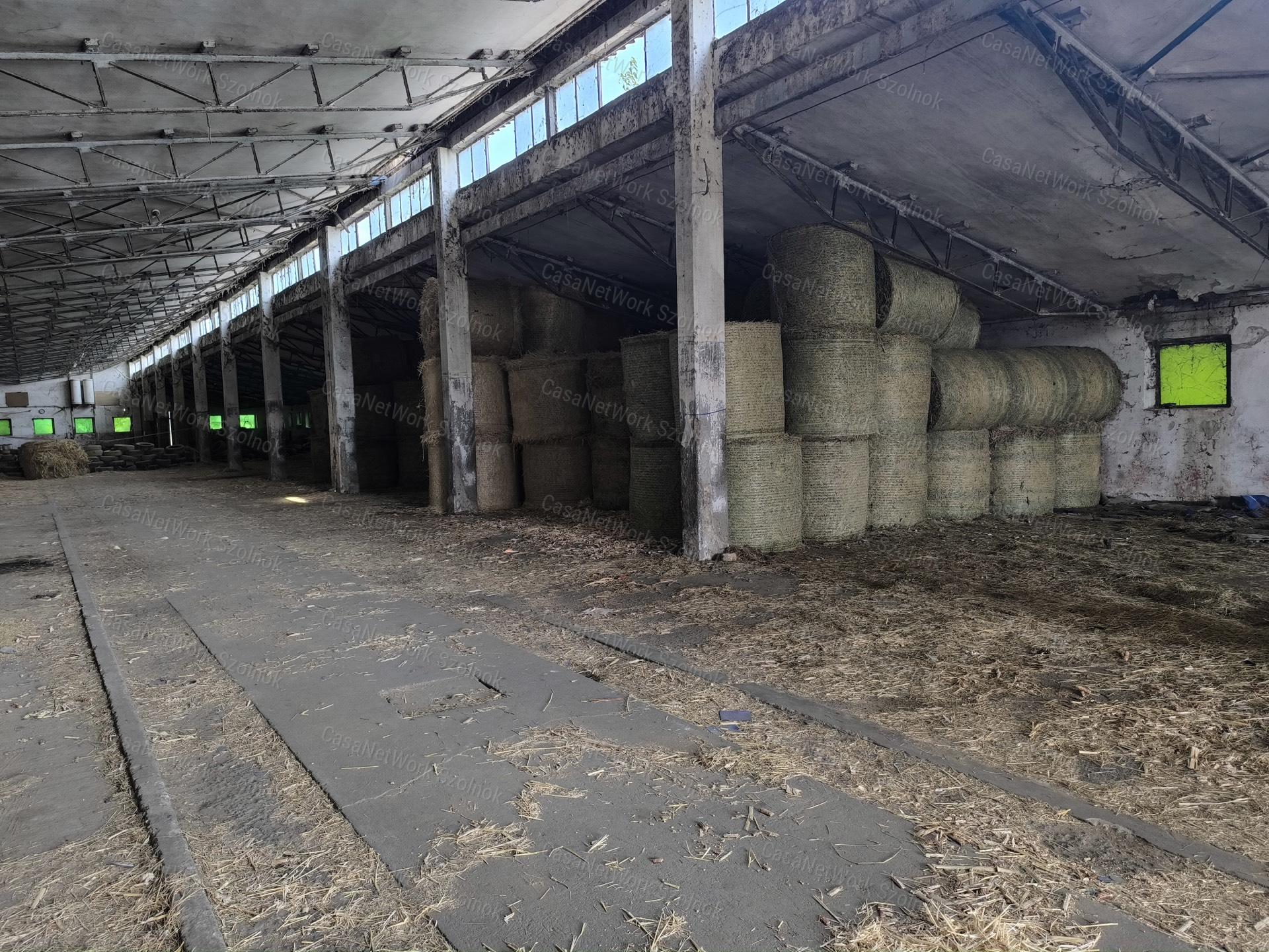 Rákóczifalvai 65000m2-es Majorság eladó!