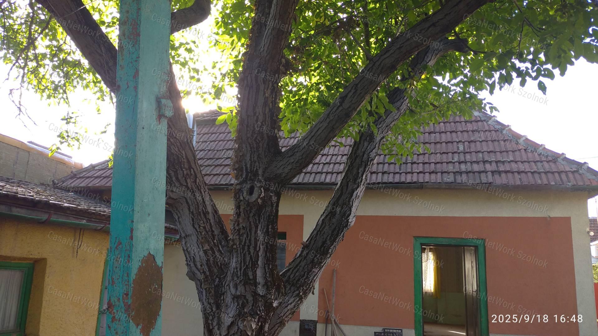 Szolnokon eladó felújítandó kertes családi ház!
