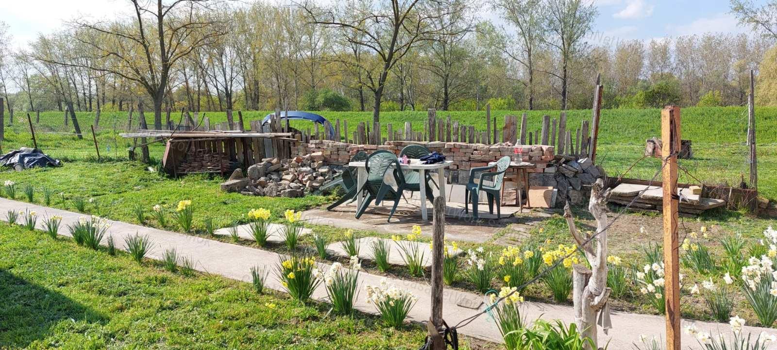 Tószeg központi részén egy 37m2-es családi ház eladó!