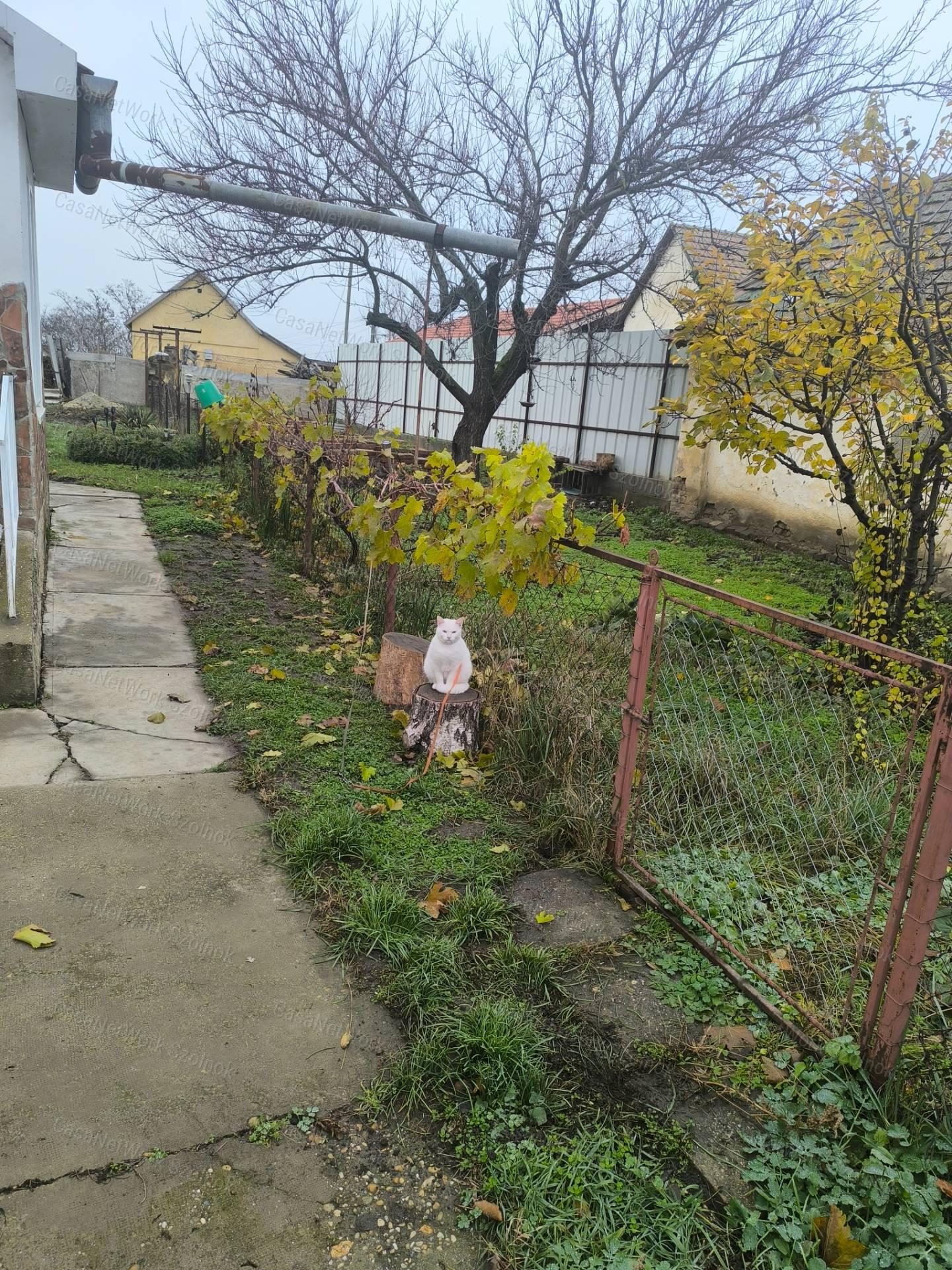 Eladó Családi ház Tiszaföldvár Tabán részén