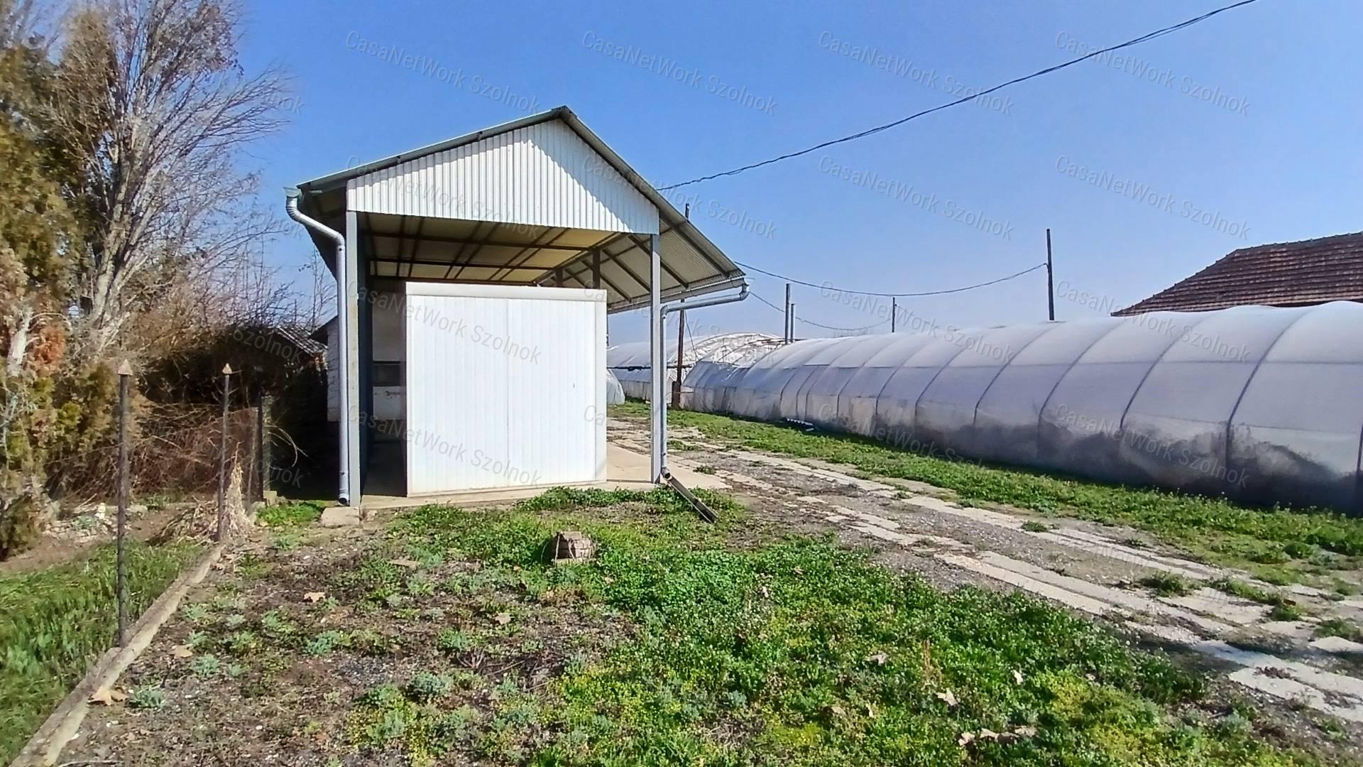 Eladó Tiszaföldváron egy 3718 m2-es telek hűtőházzal.