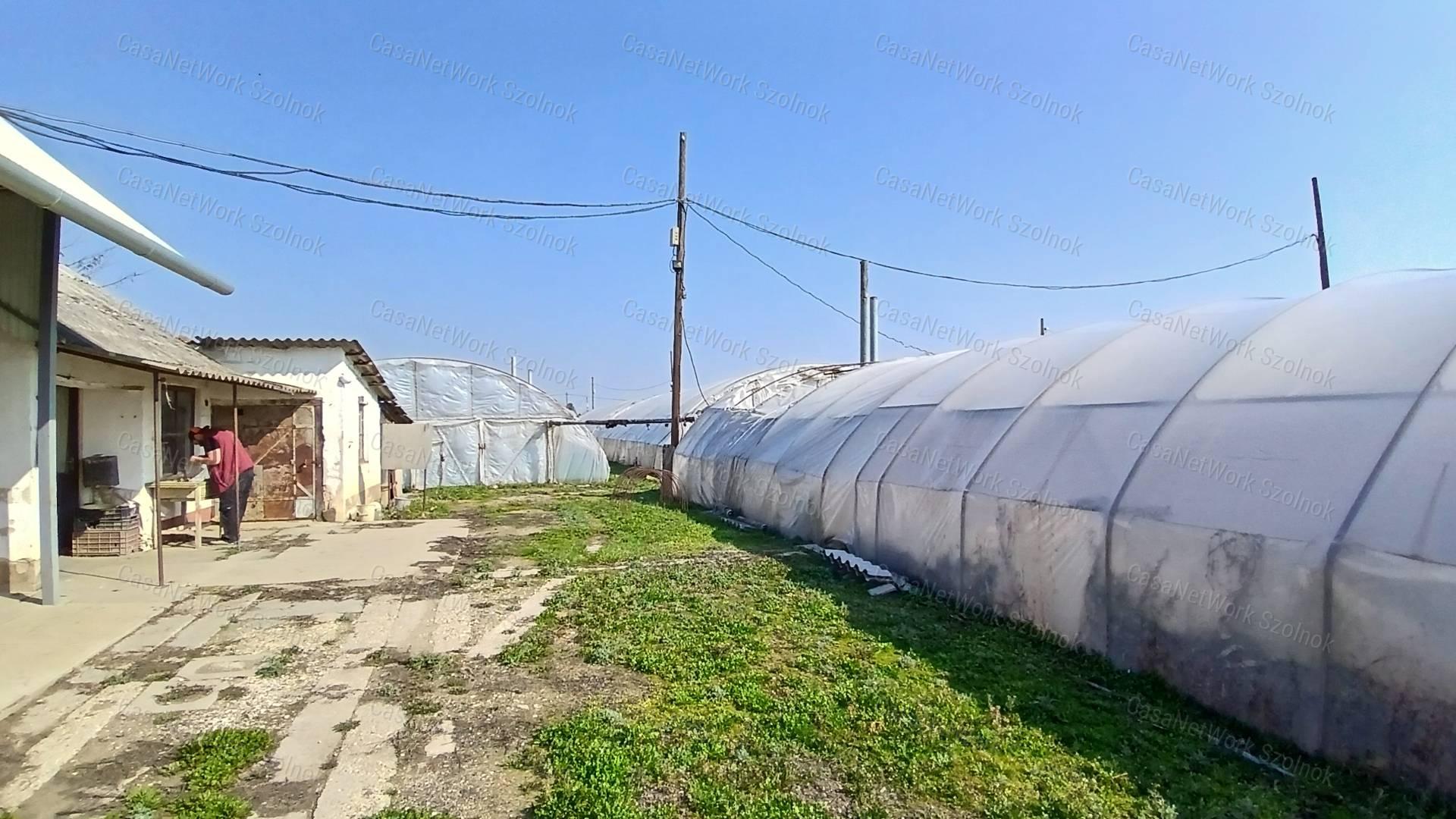 Eladó Tiszaföldváron egy 3718 m2-es telek hűtőházzal.
