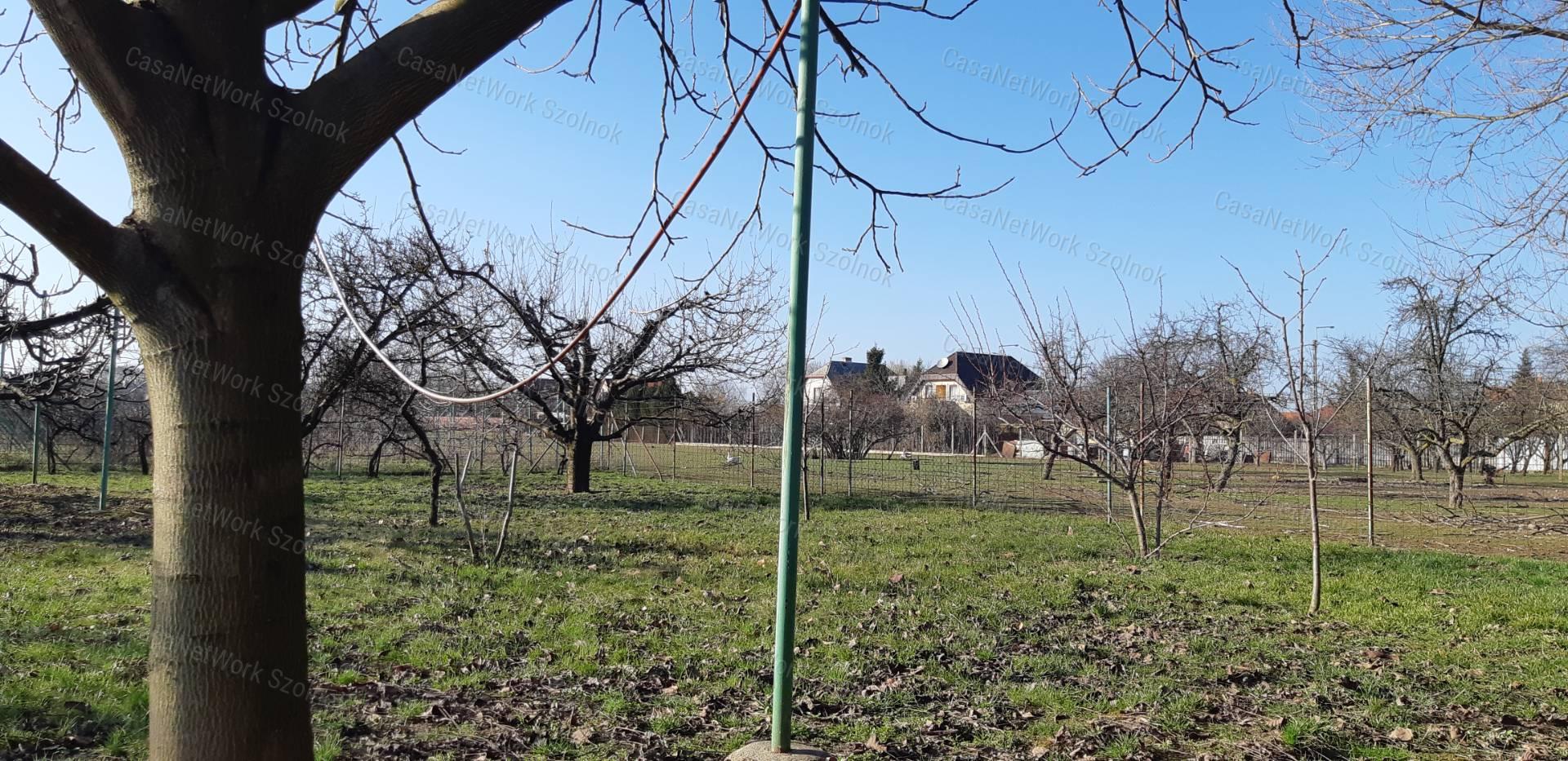 Eladó gazdálkodásra alkalmas családi ház Szandaszőlősön!