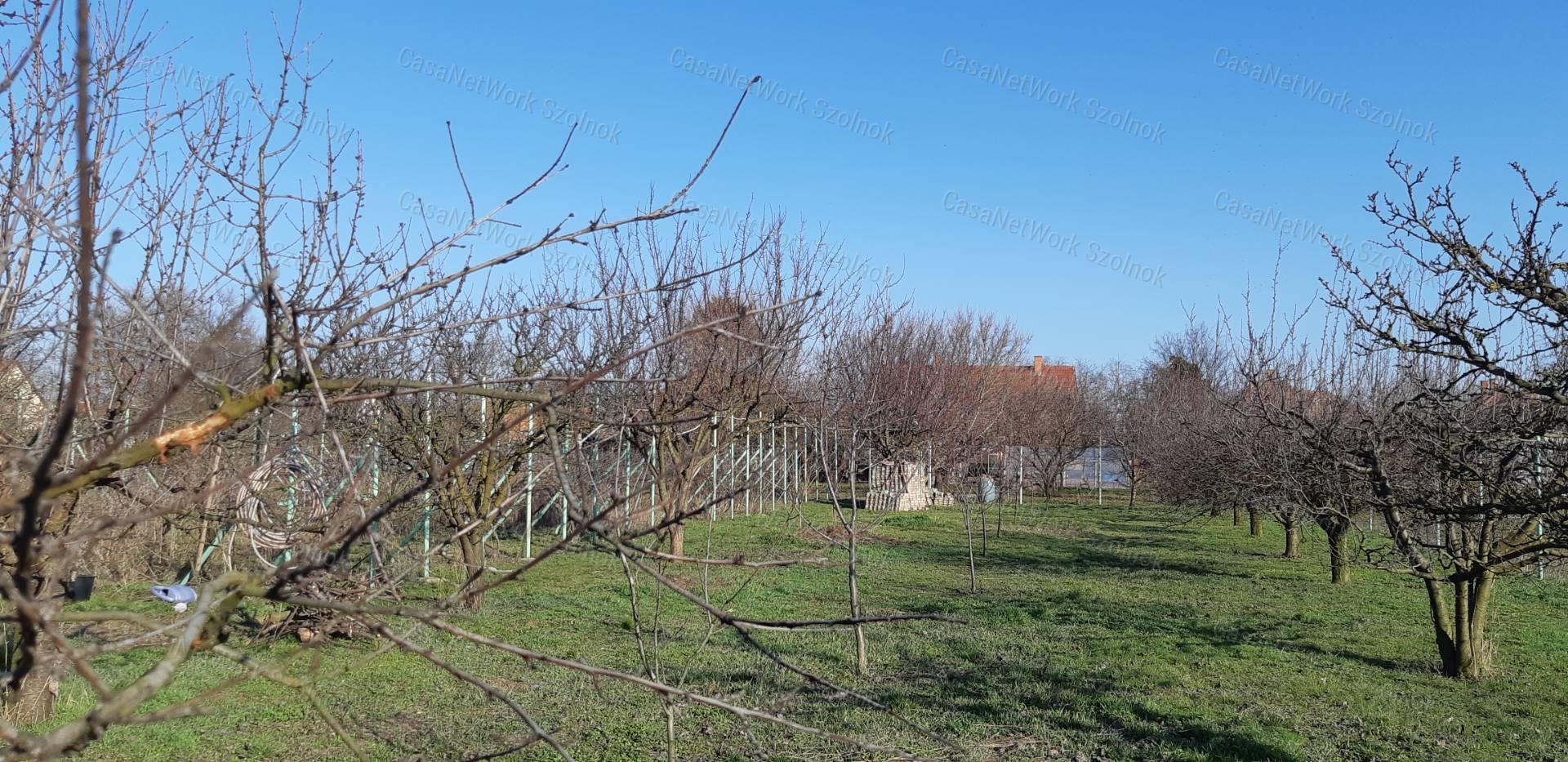 Eladó gazdálkodásra alkalmas családi ház Szandaszőlősön!