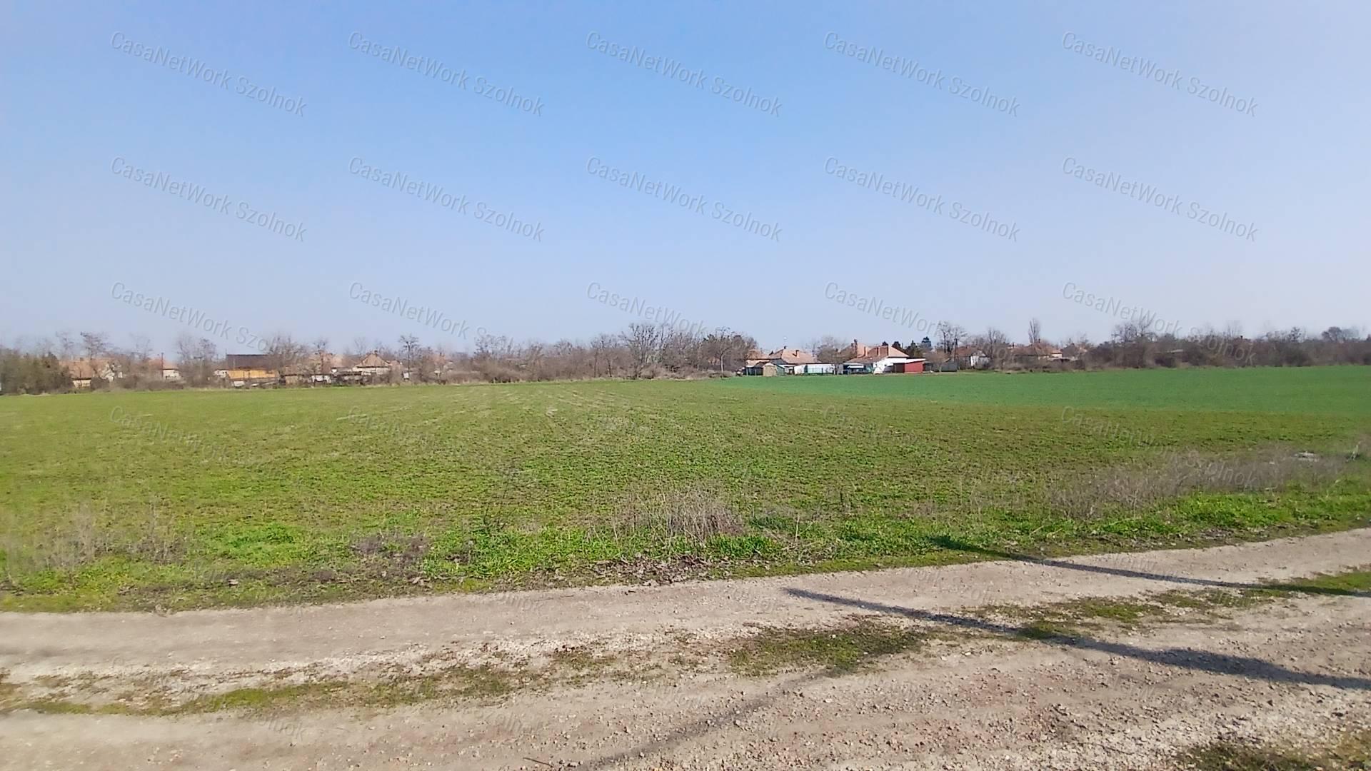 Eladó Tiszaföldváron egy 3310 m2-es építési telek.