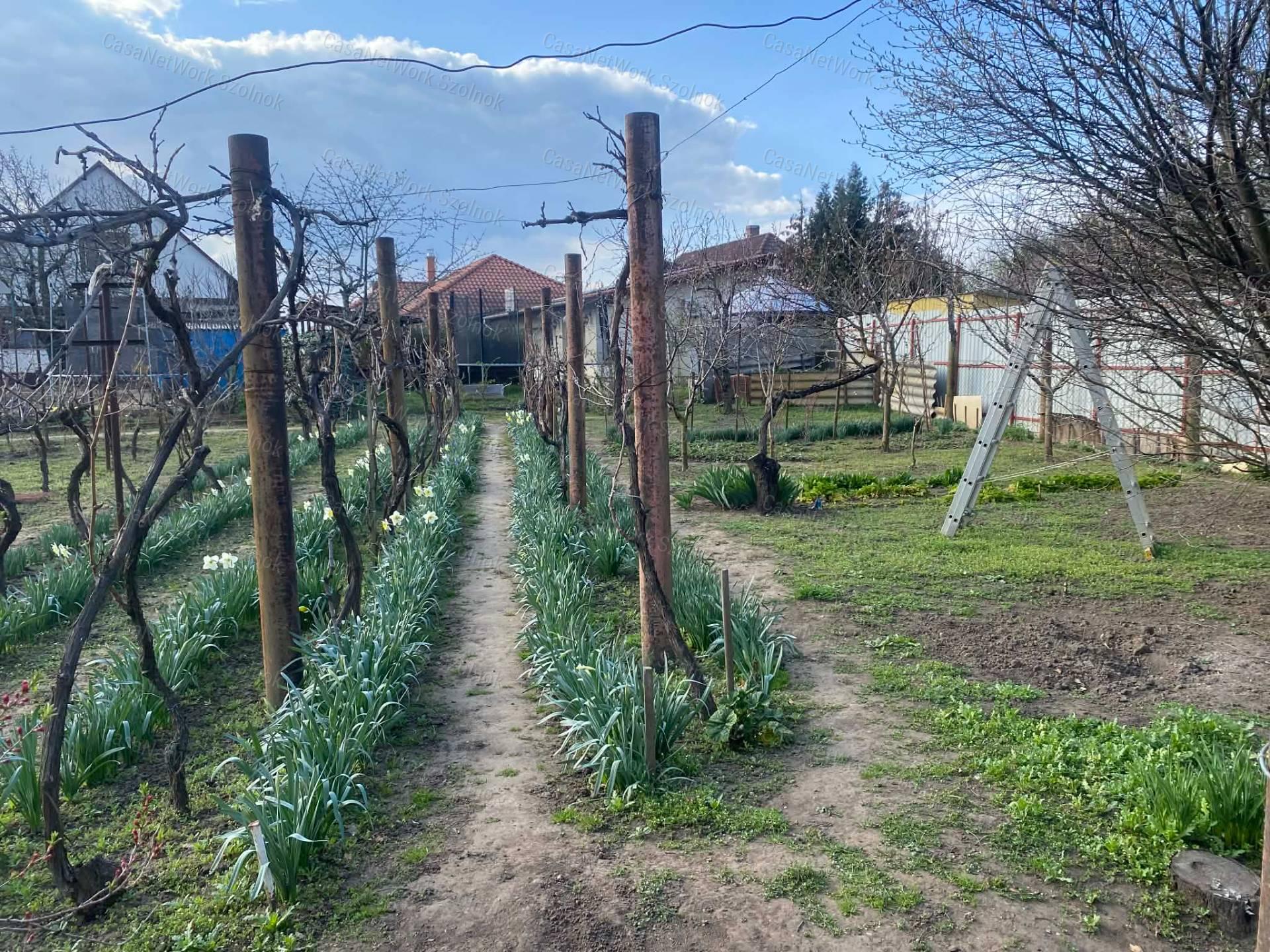 Szolnokon 5+1 szobás családi ház eladó!