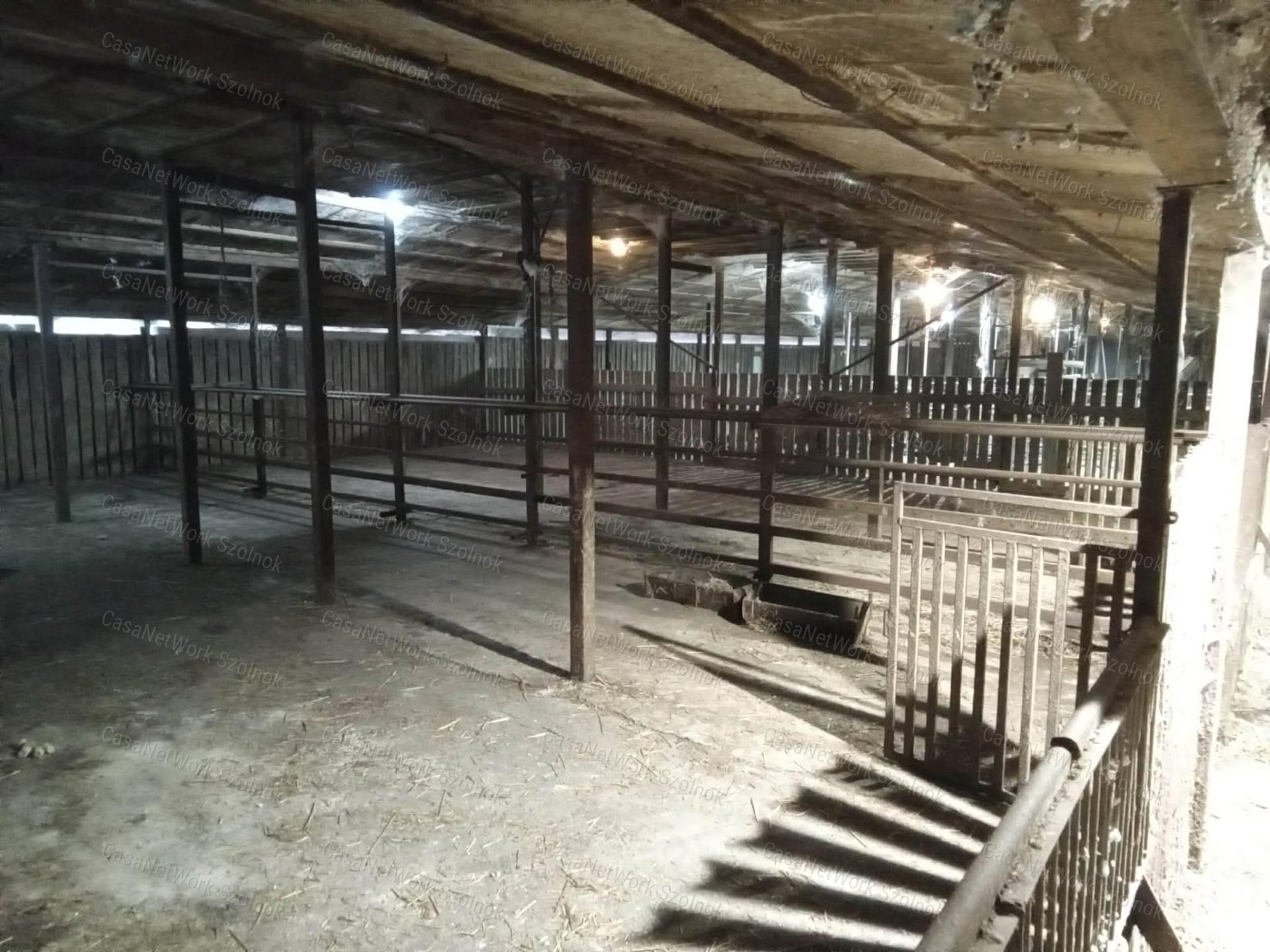 Eladó Kétpón egy 4 szobás 116m2-es tetőteres családi ház + csarnok