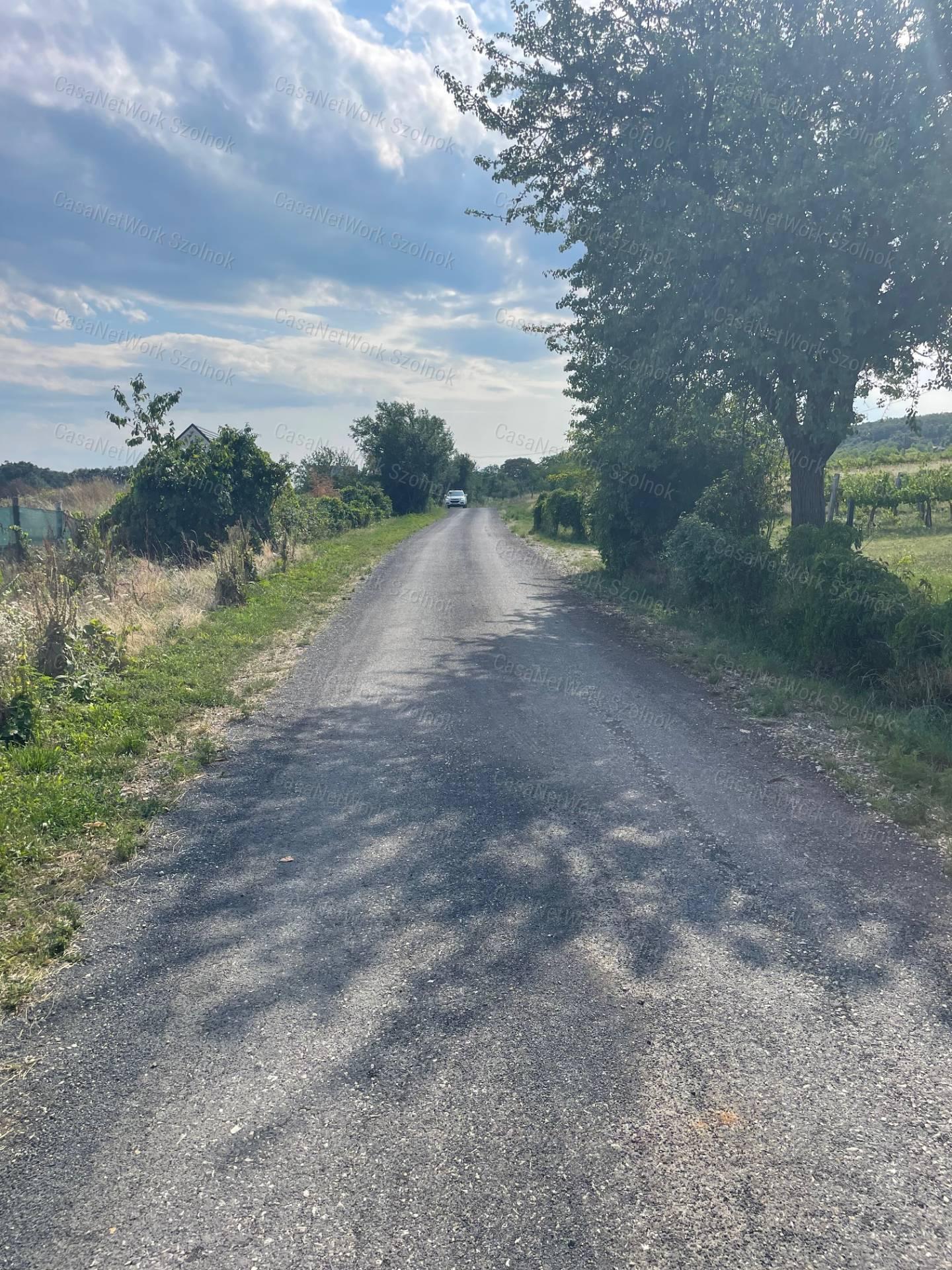 Eladó Balatatonszepezden egy örökpanorámás külterületi telek szőlővel