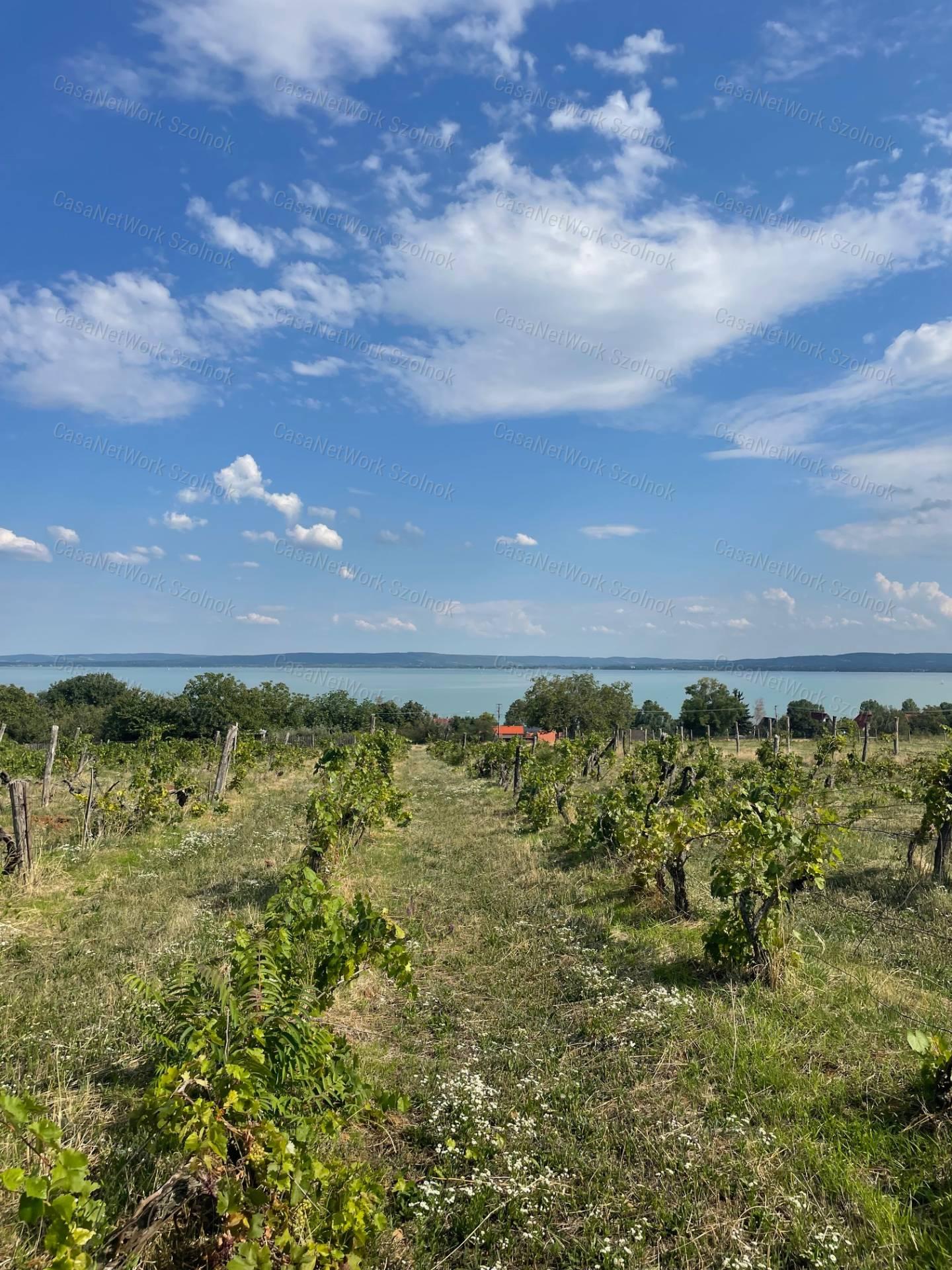 Eladó Balatatonszepezden egy örökpanorámás külterületi telek szőlővel