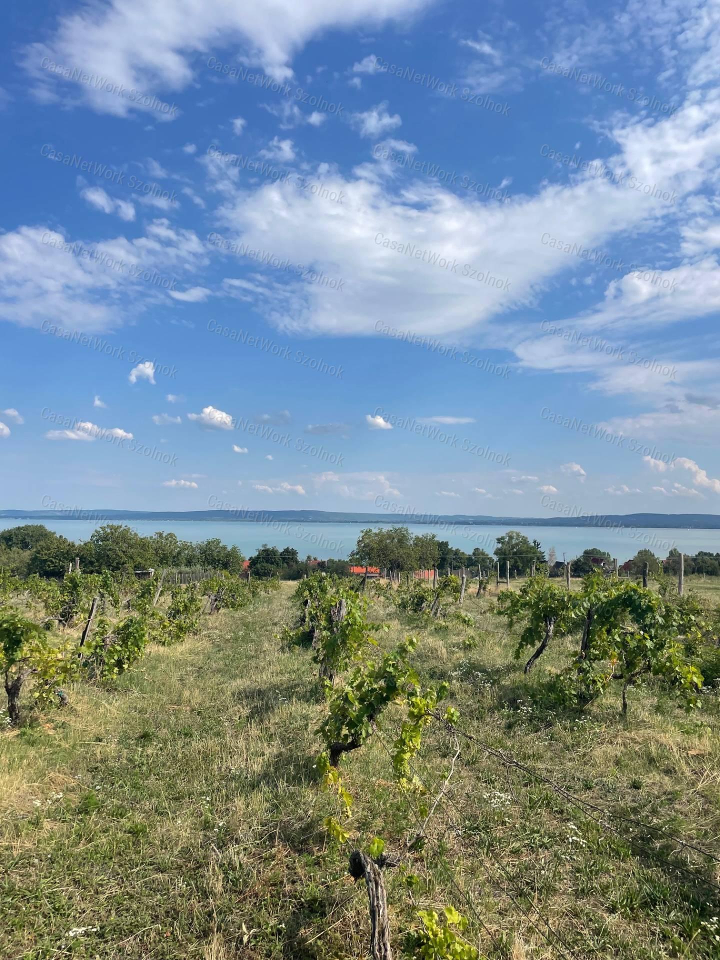 Eladó Balatatonszepezden egy örökpanorámás külterületi telek szőlővel