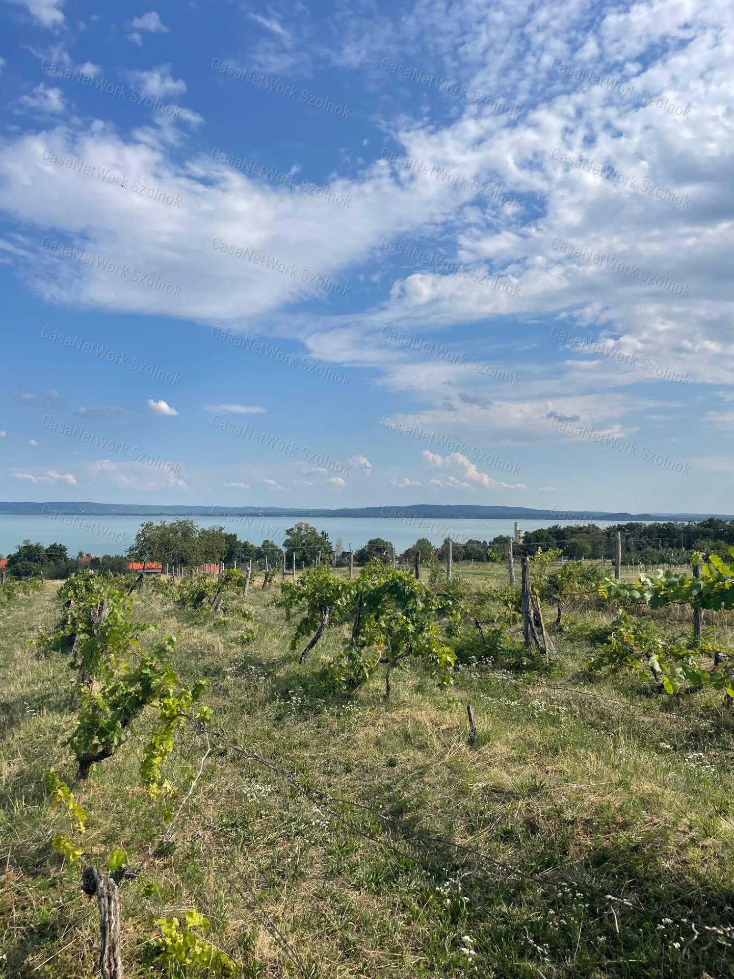 Eladó Balatatonszepezden egy örökpanorámás külterületi telek szőlővel