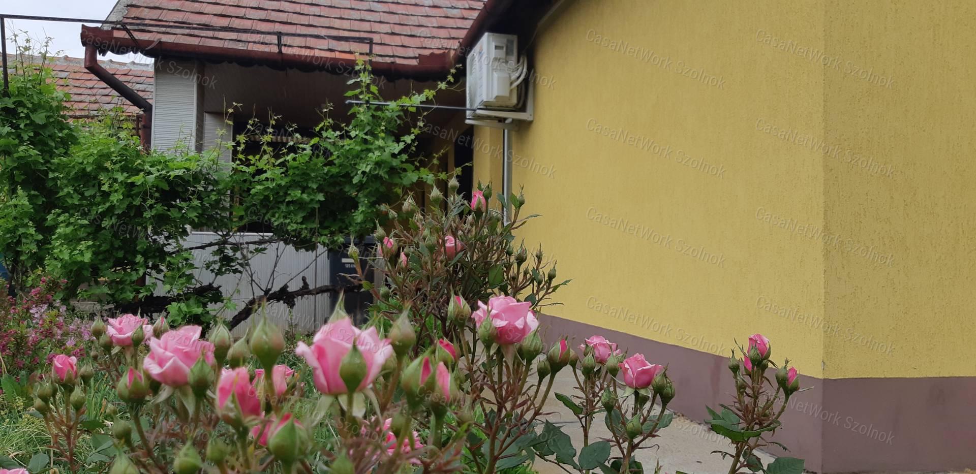 Tiszaföldváron eladó vállalkozásra is alkalmas családi ház!