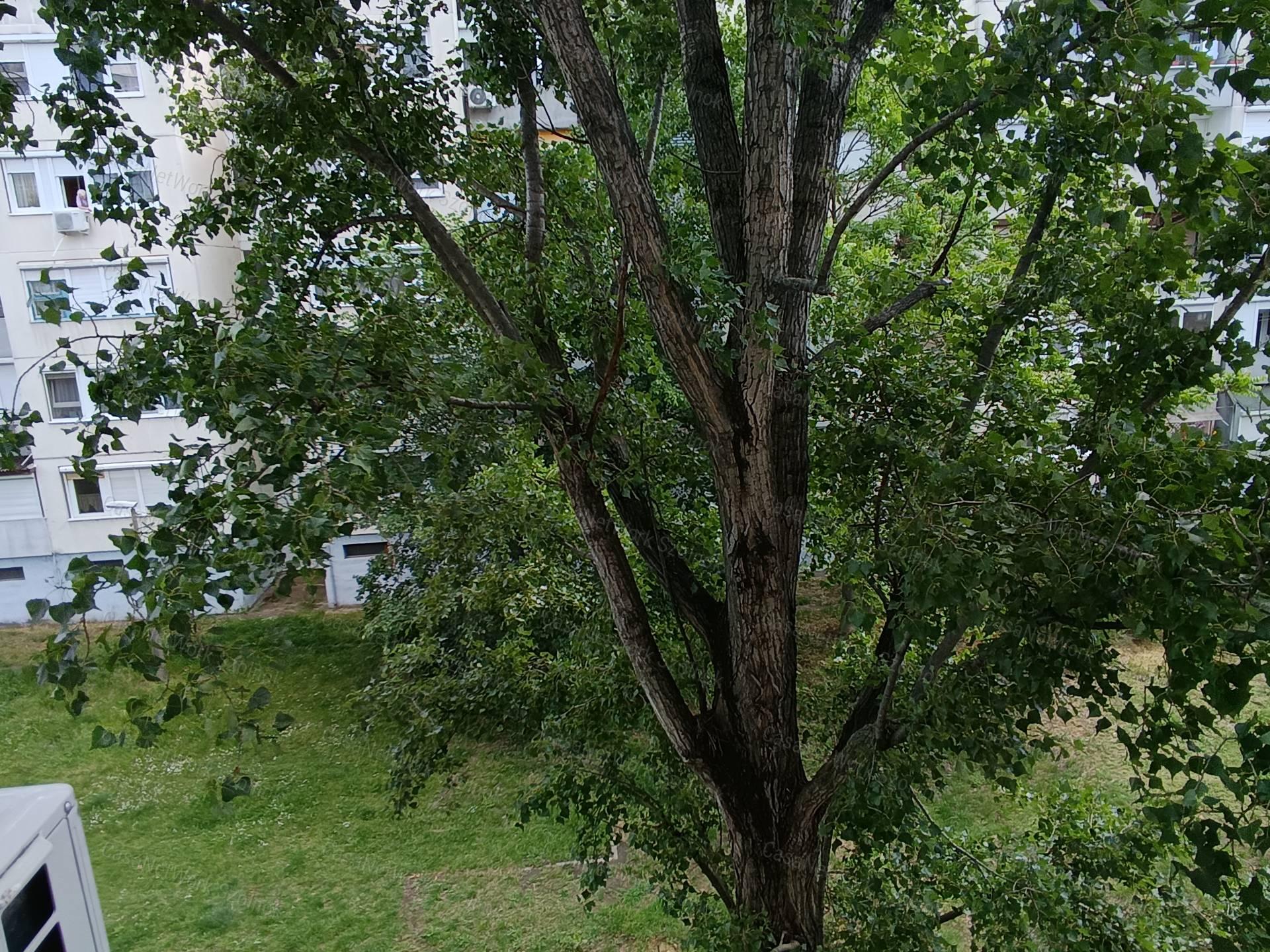 Eladó panel lakás kiváó adottságokkal a Széchenyi lakótelepen