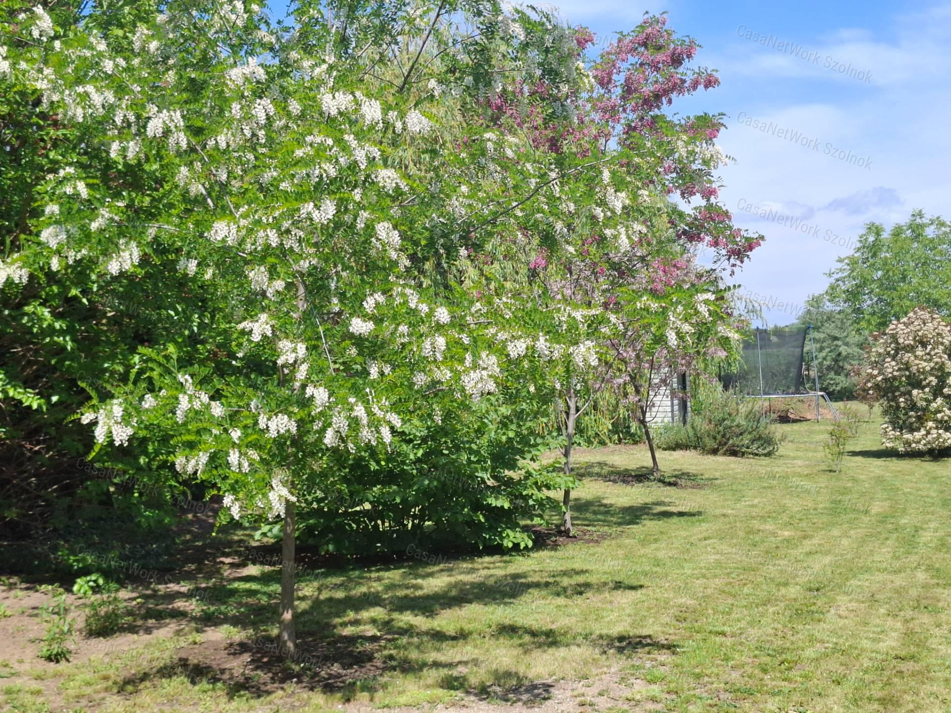 Eladó újszerű hétvégi faházas nyaraló 1100m2-es telken a Patkó utcában