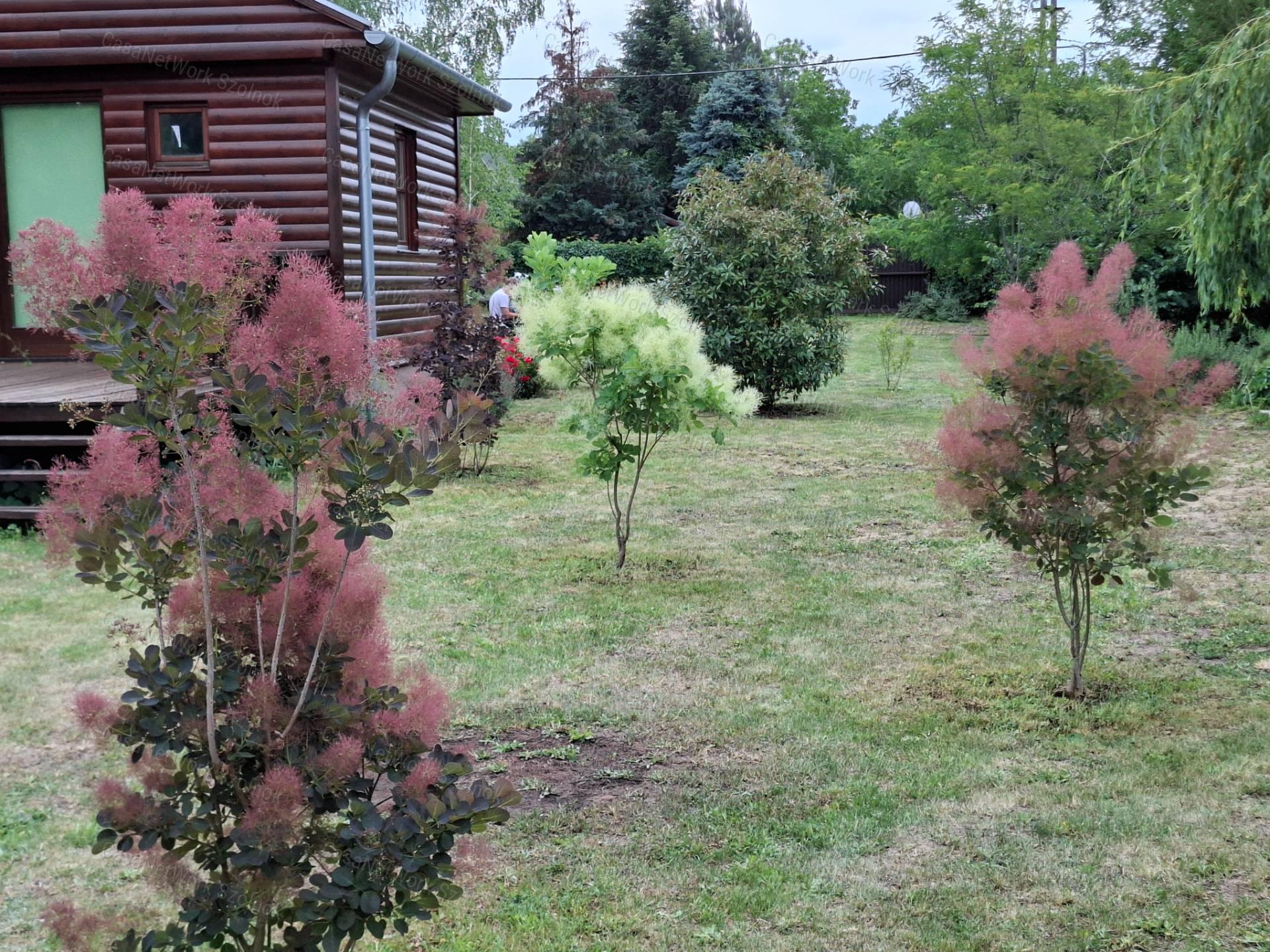 Eladó újszerű hétvégi faházas nyaraló 1100m2-es telken a Patkó utcában