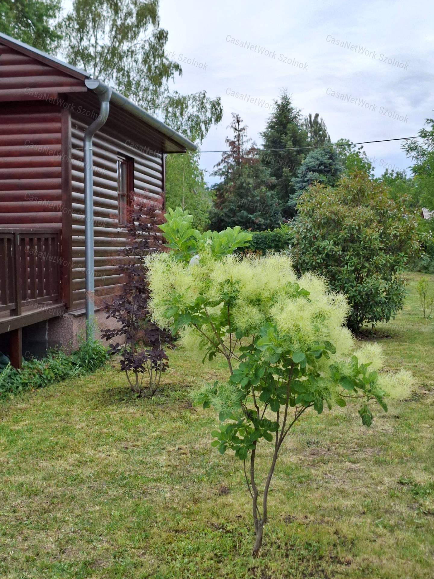 Eladó újszerű hétvégi faházas nyaraló 1100m2-es telken a Patkó utcában
