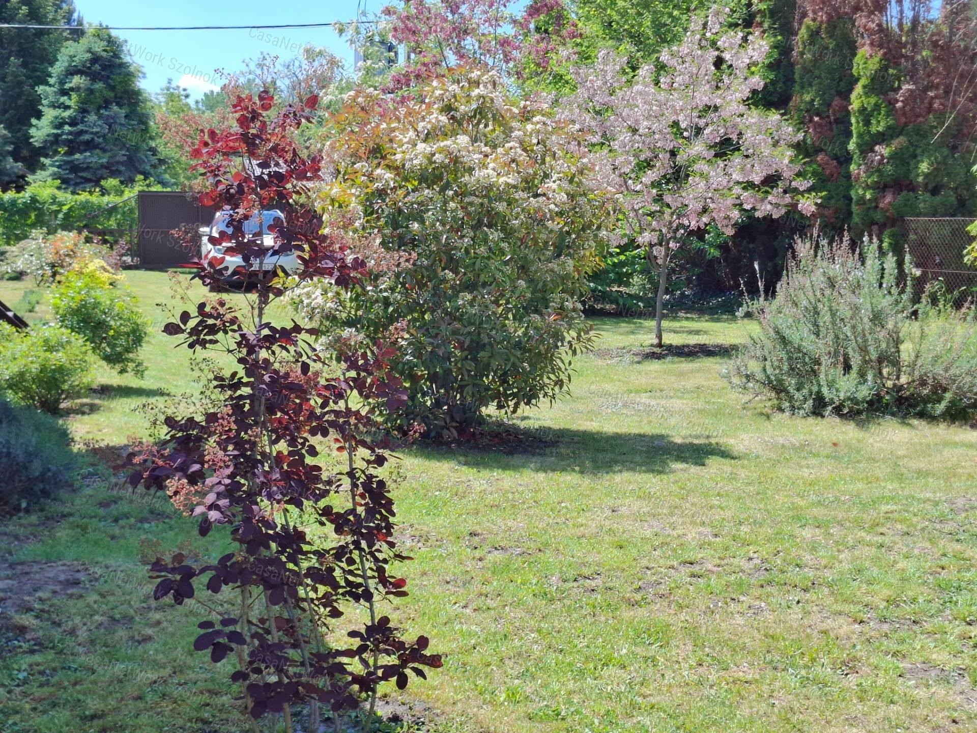 Eladó újszerű hétvégi faházas nyaraló 1100m2-es telken a Patkó utcában