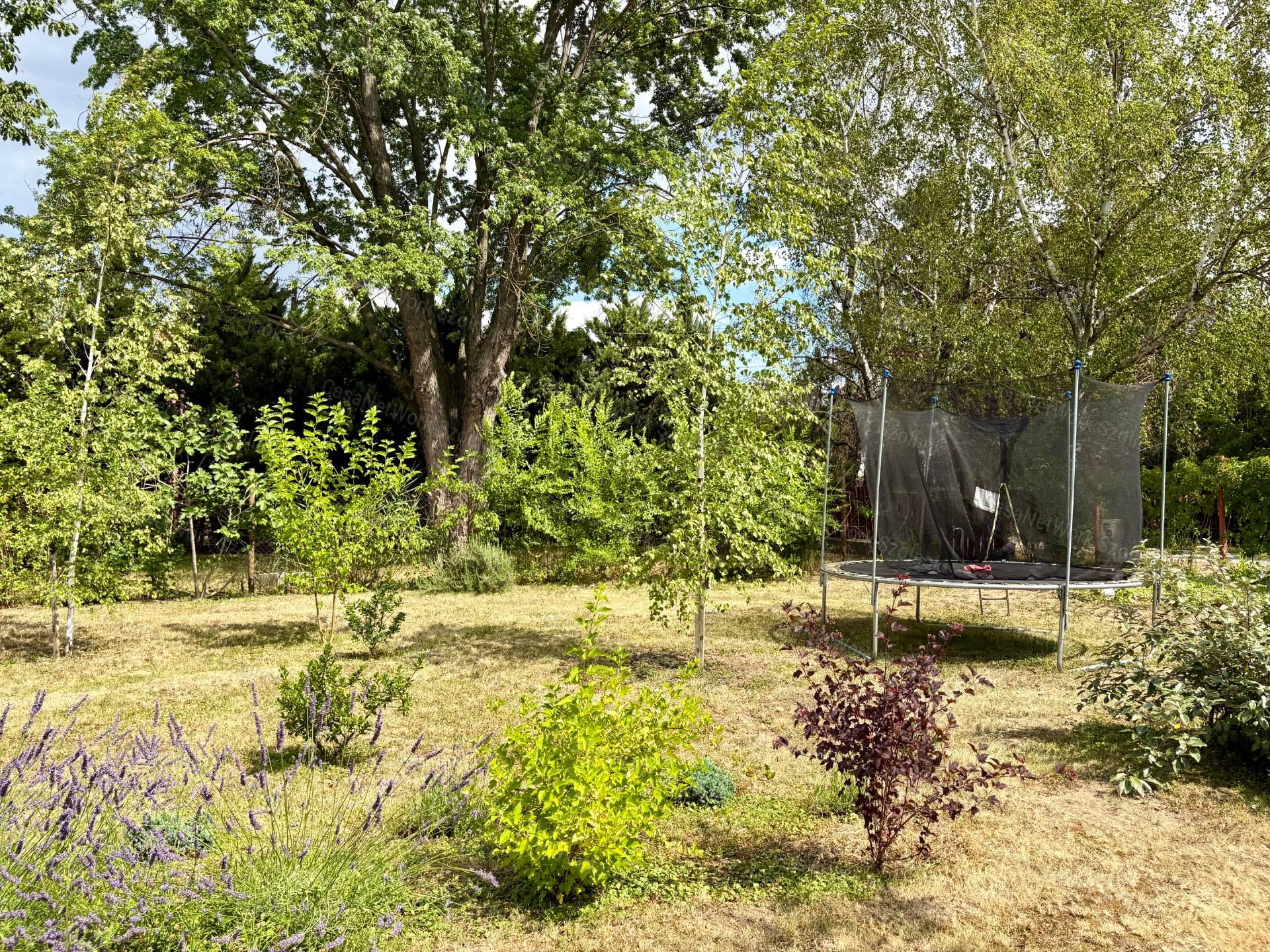 Eladó újszerű hétvégi faházas nyaraló 1100m2-es telken a Patkó utcában