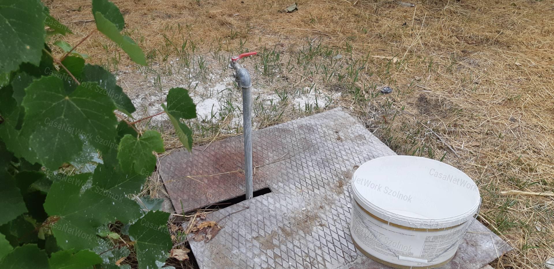 Tiszaföldváron eladó kertes családi ház!