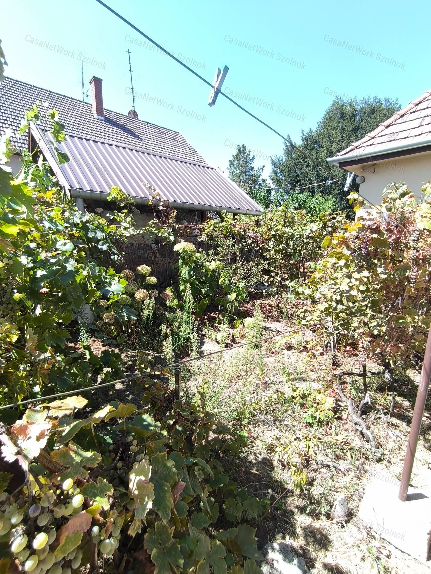 Pilisi családi ház garázzsal és szaletlival, a madárcsicsergős kávékhoz