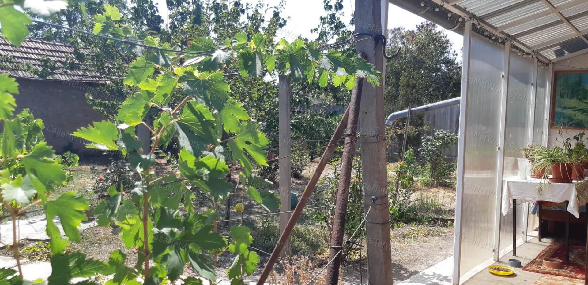 Eladó Tiszaföldváron csendes utcában kertes családi ház!