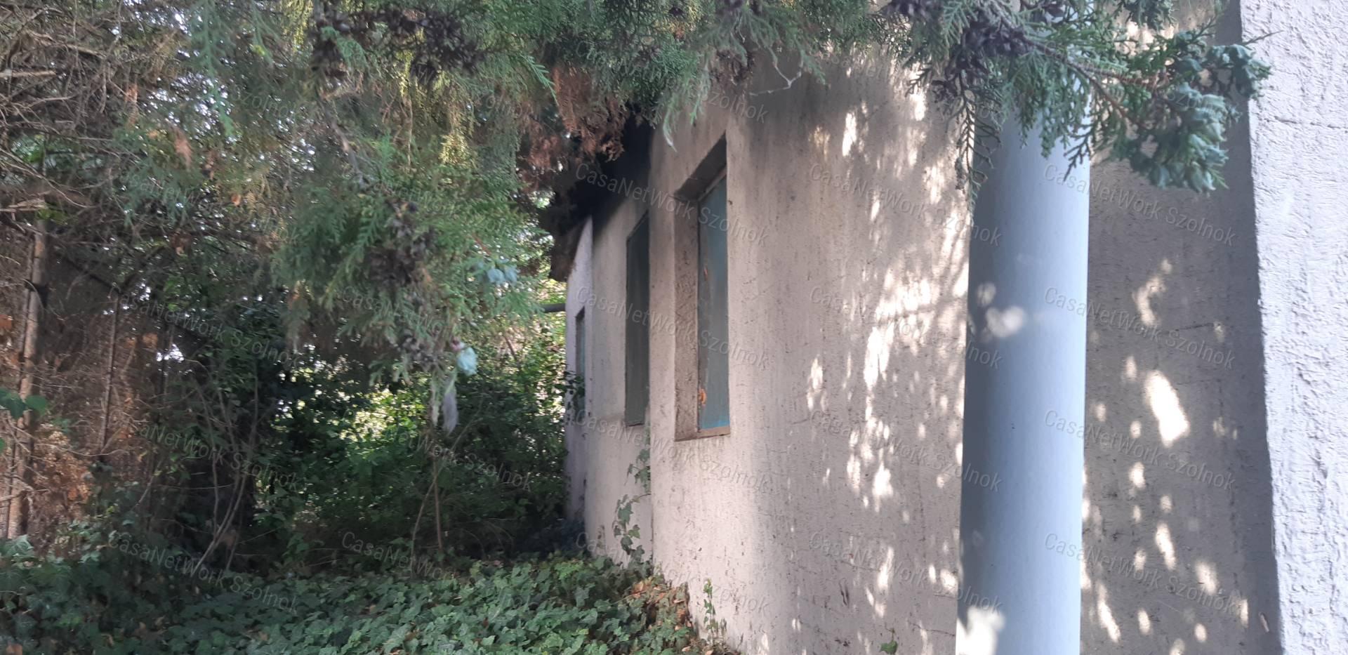 Eladó Tiszajenőn gazdálkodásra alkalmas telek!
