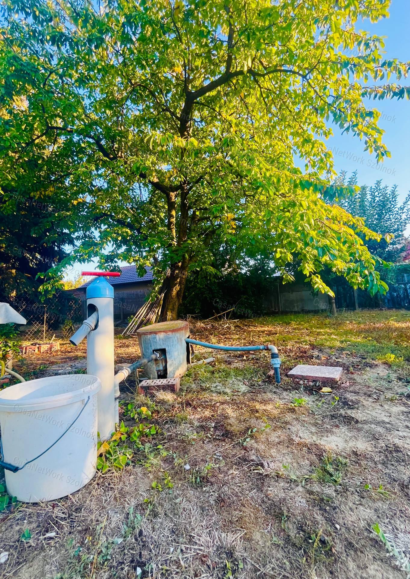 Kertvárosi nyugalom a Holt-Tisza közelében