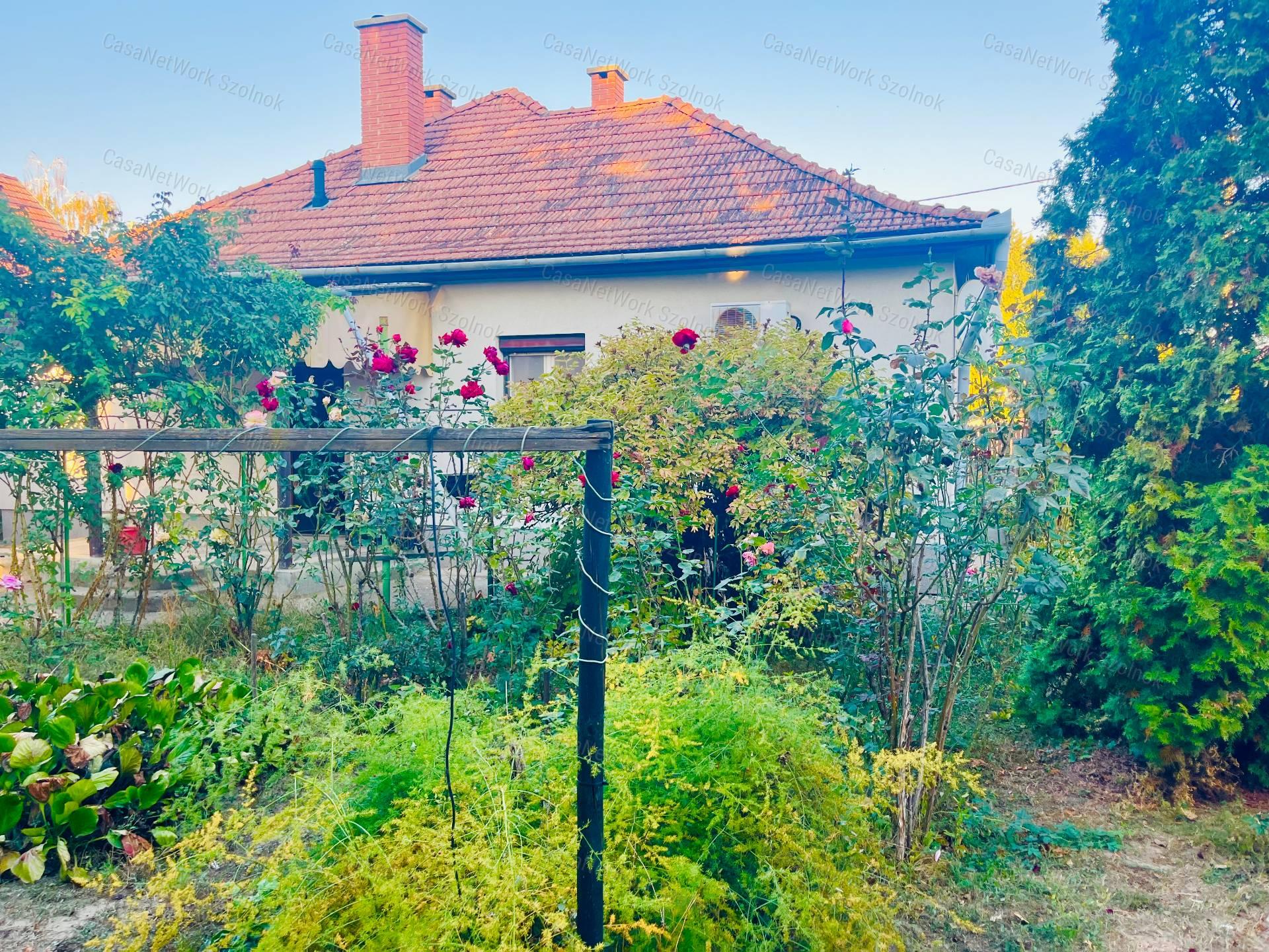 Kertvárosi nyugalom a Holt-Tisza közelében