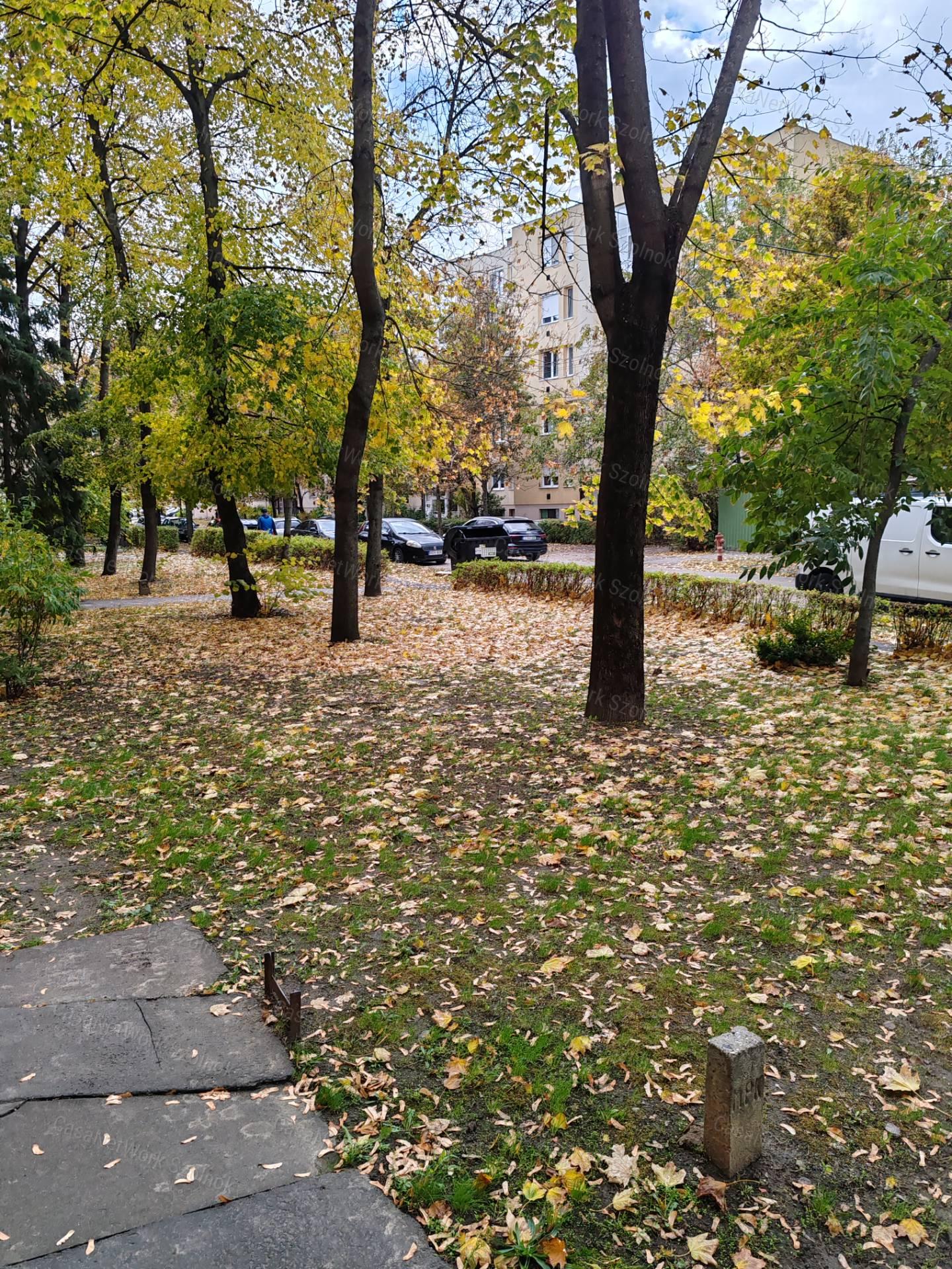 Eladó Szolnokon, a Széchenyi utcában egy 1.emeleti, 3 szobás lakás!