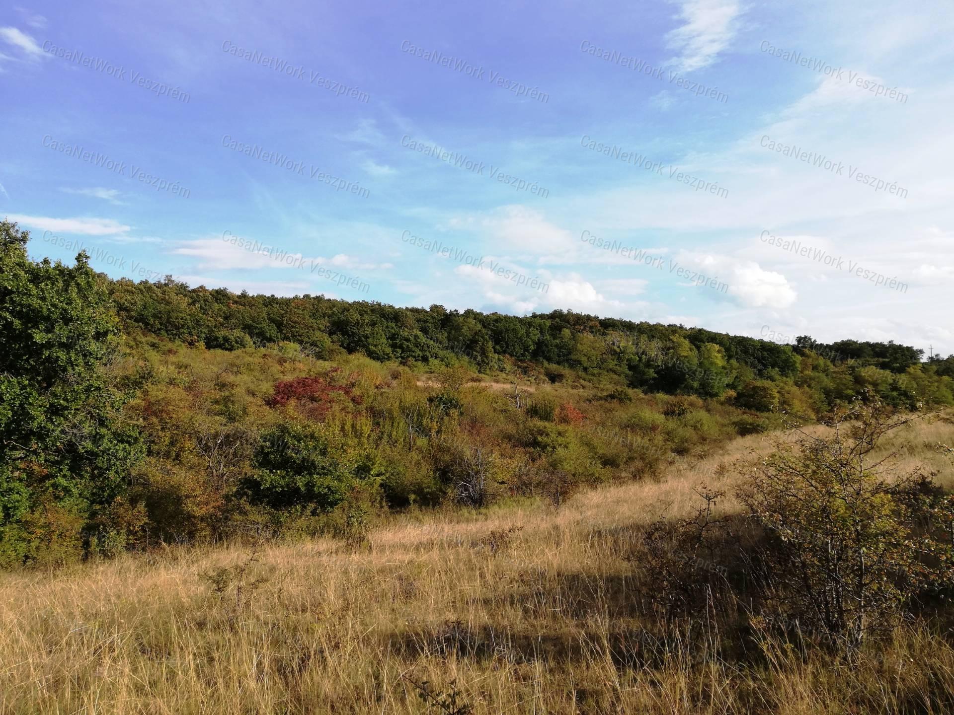 Zártkert eladó, BALATONALMÁDI