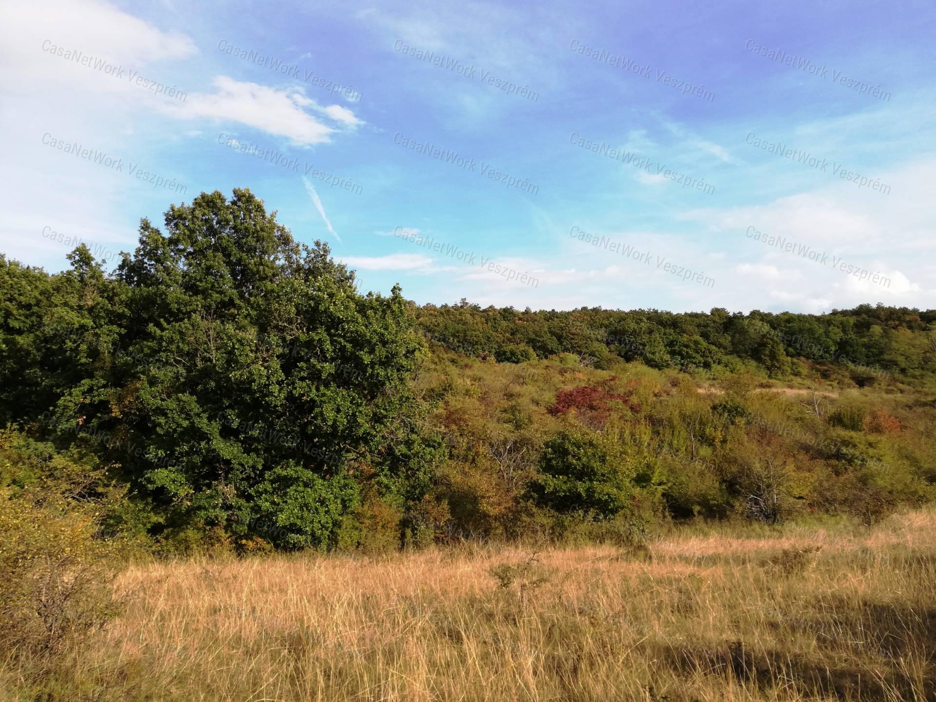 Zártkert eladó, BALATONALMÁDI