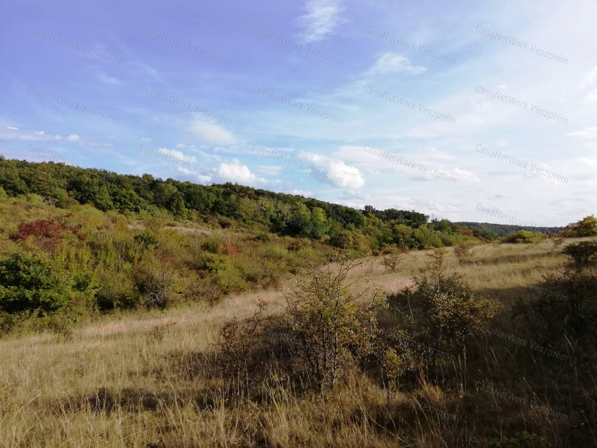 Zártkert eladó, BALATONALMÁDI