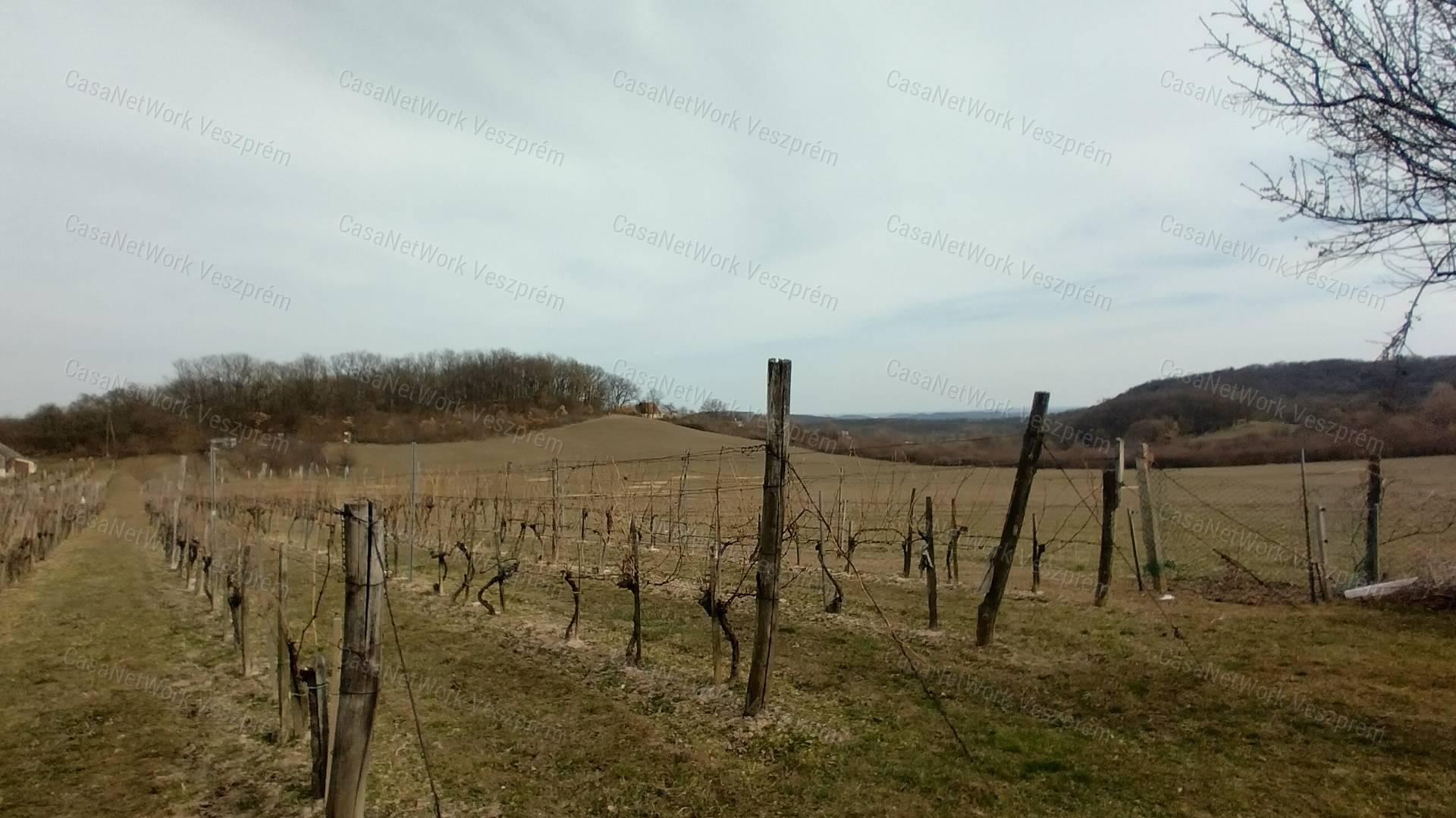 Eladó borospince körpanorámával,  szőlővel  Vászolyon!