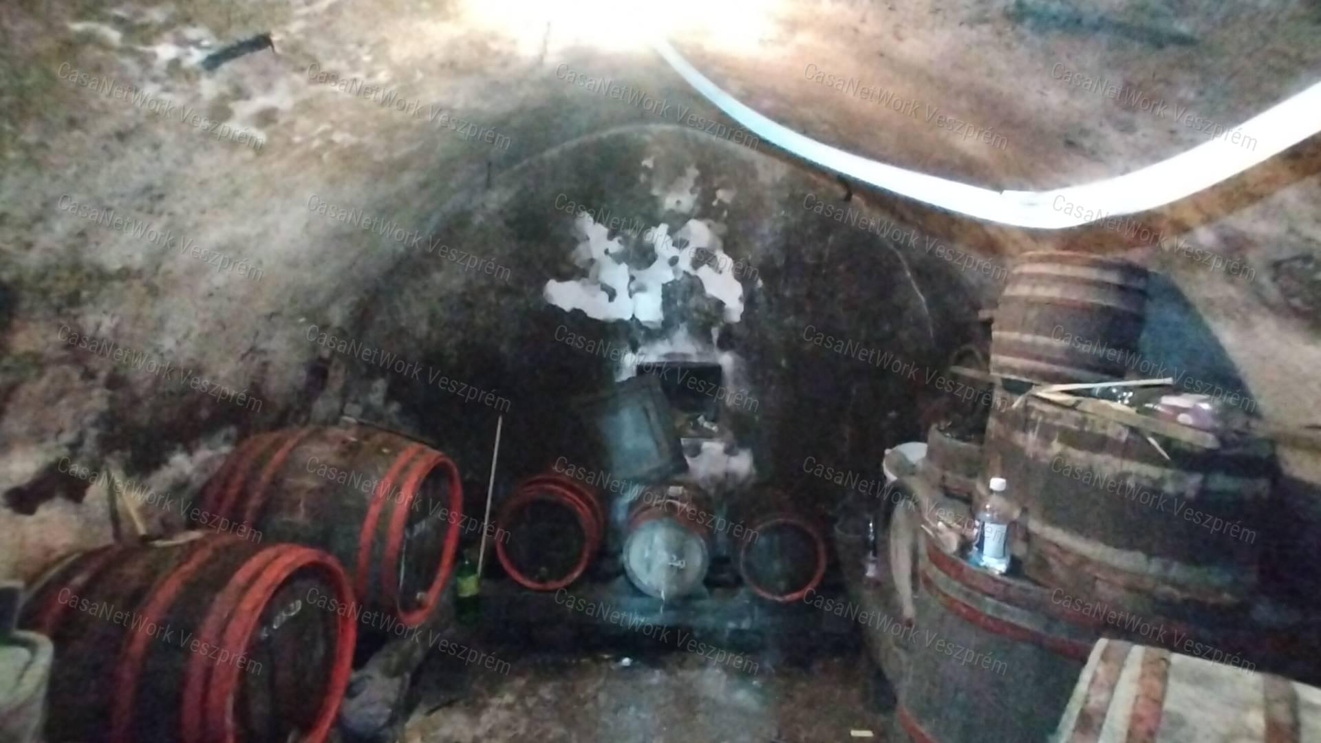 Eladó borospince körpanorámával,  szőlővel  Vászolyon!