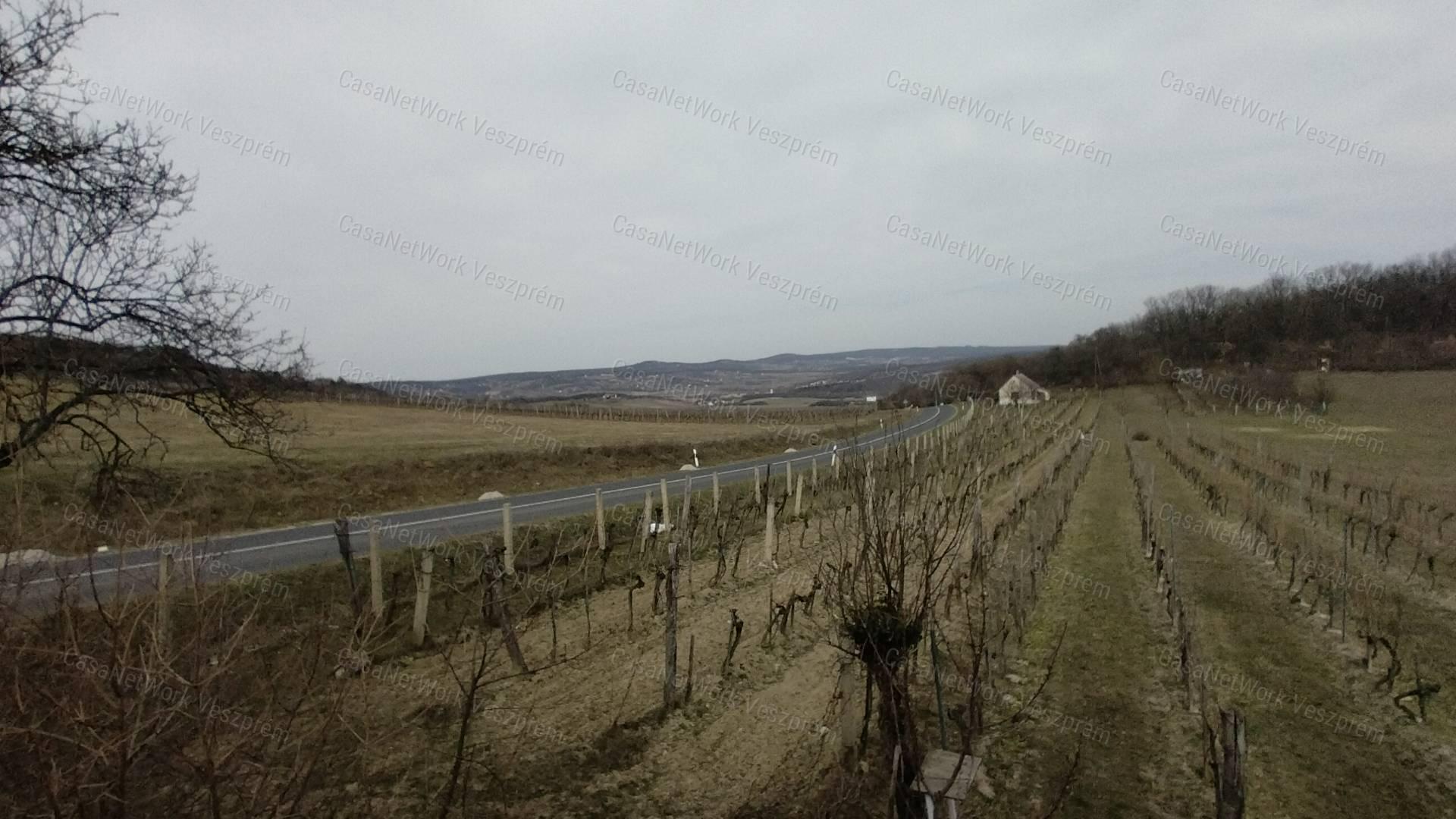 Eladó borospince körpanorámával,  szőlővel  Vászolyon!