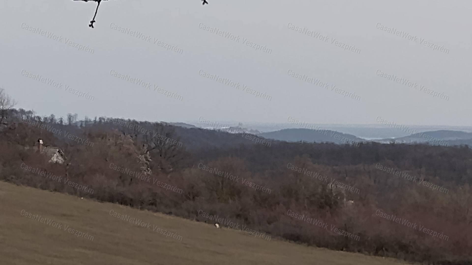 Eladó borospince körpanorámával,  szőlővel  Vászolyon!
