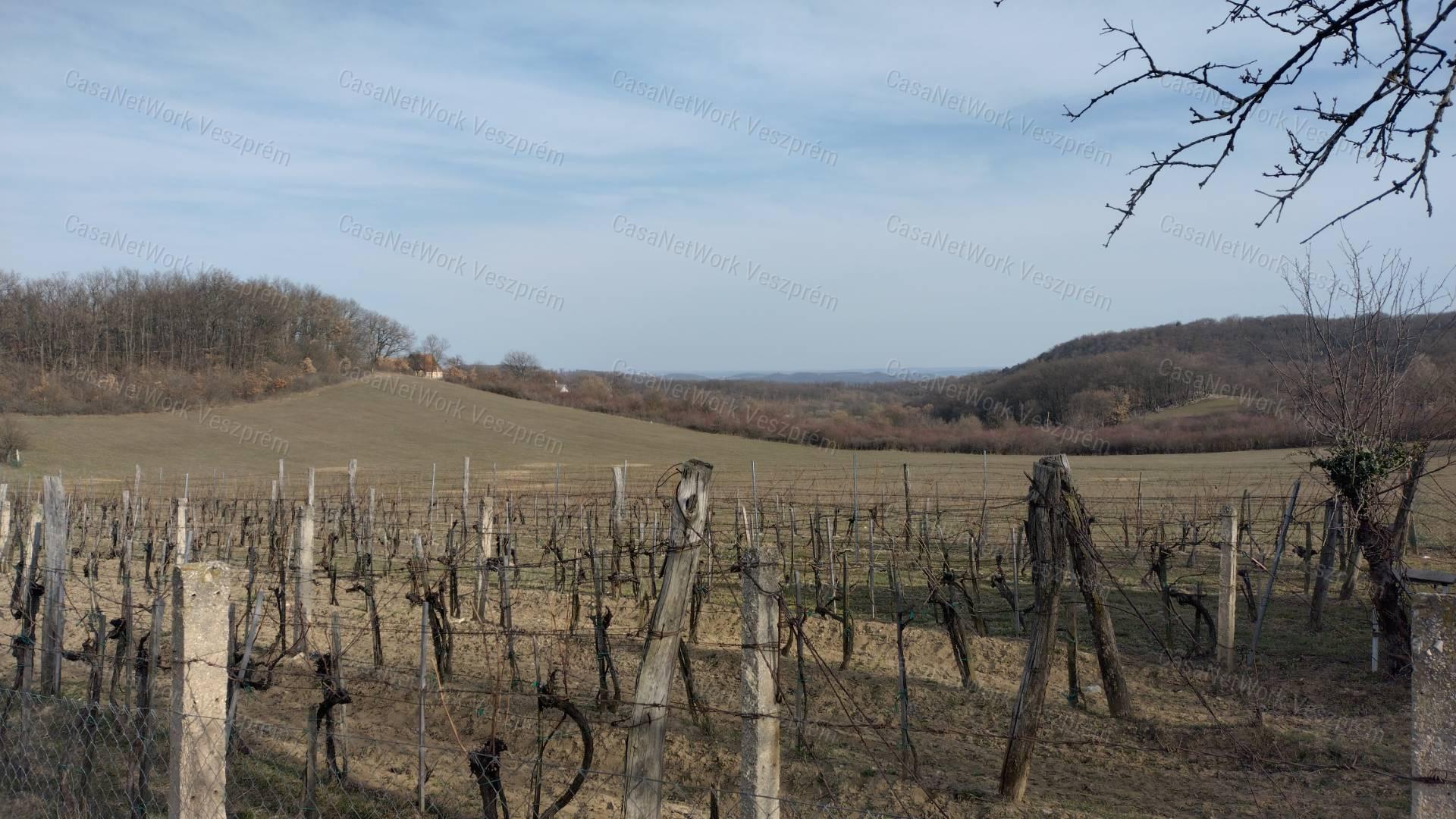 Eladó borospince körpanorámával,  szőlővel  Vászolyon!