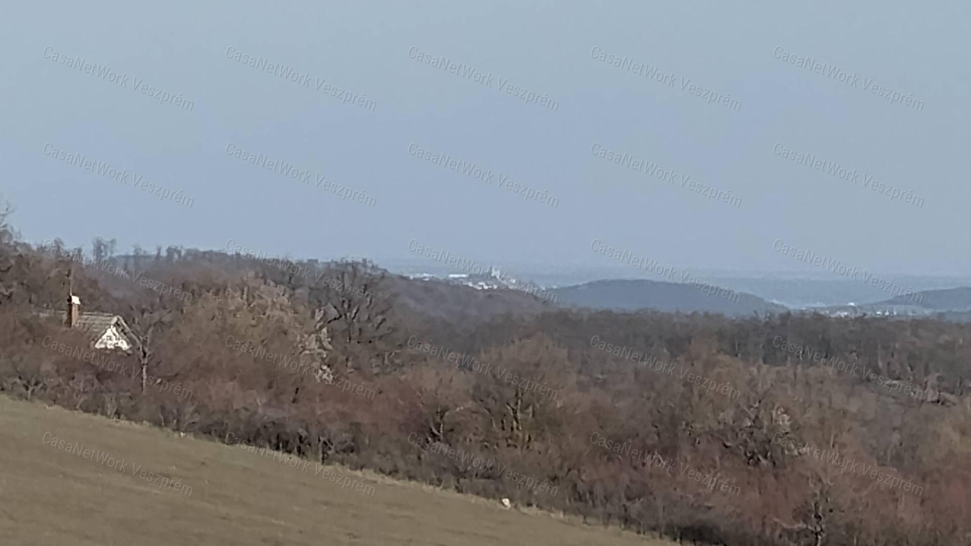 Eladó borospince körpanorámával,  szőlővel  Vászolyon!