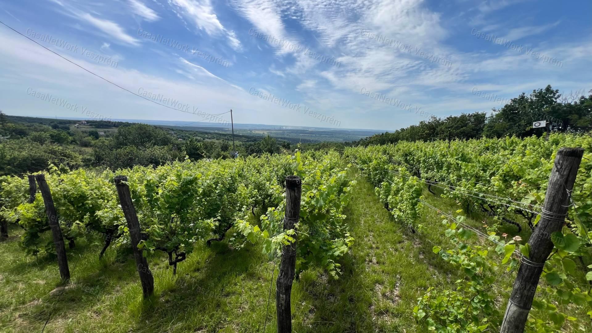 3245m2 zárkert gazdasági épülettel eladó Várpalotán
