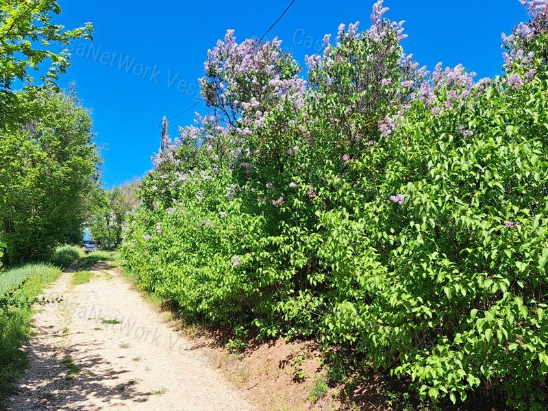 BALATON-FELVIDÉKI HÁZ BALATONI PANORÁMÁVAL, FELSŐÖRSÖN A TERMÉSZET OLDALÁN