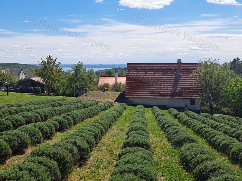 BALATON-FELVIDÉKI HÁZ BALATONI PANORÁMÁVAL, FELSŐÖRSÖN A TERMÉSZET OLDALÁN