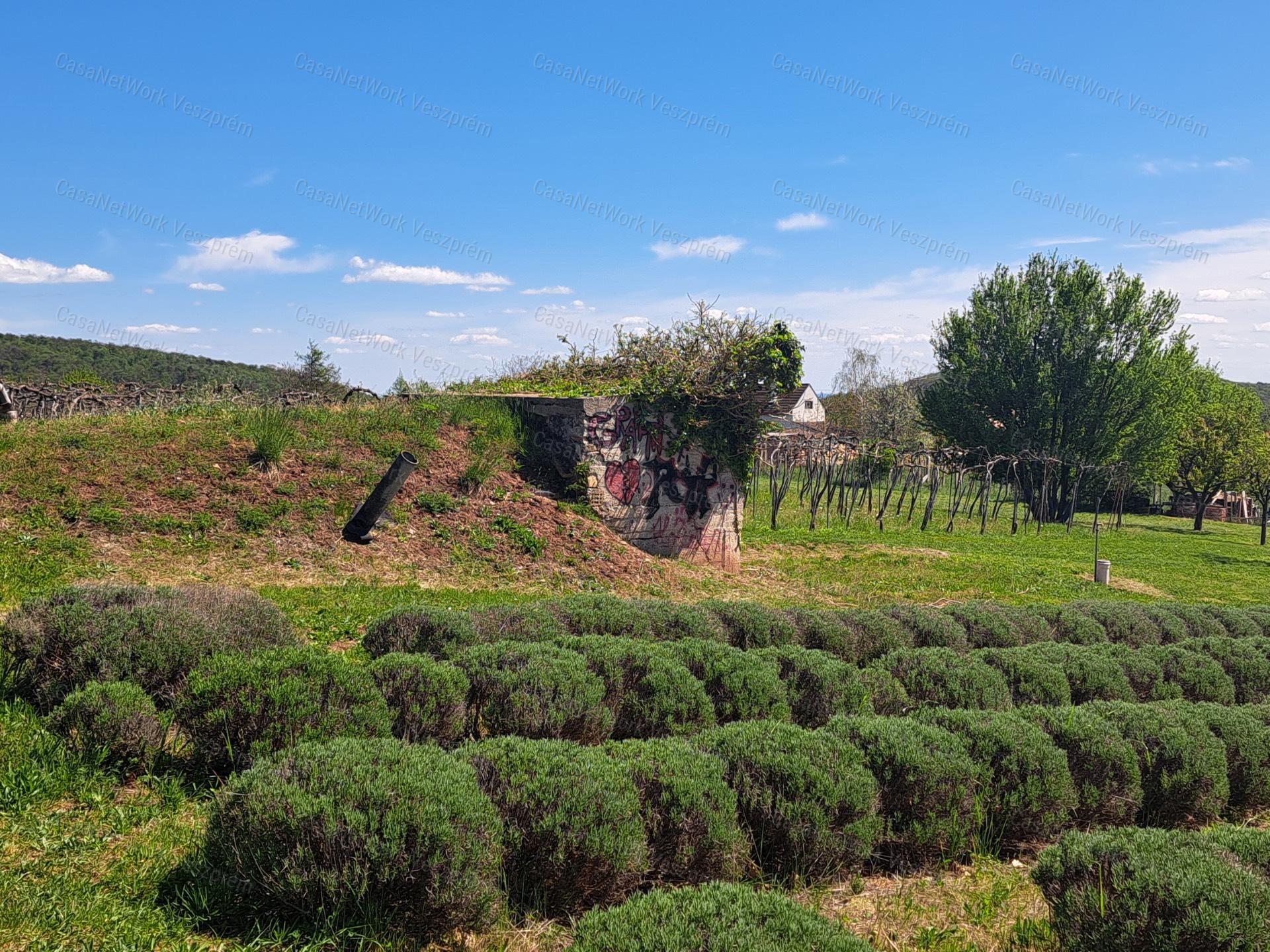 BALATON-FELVIDÉKI HÁZ BALATONI PANORÁMÁVAL, FELSŐÖRSÖN A TERMÉSZET OLDALÁN