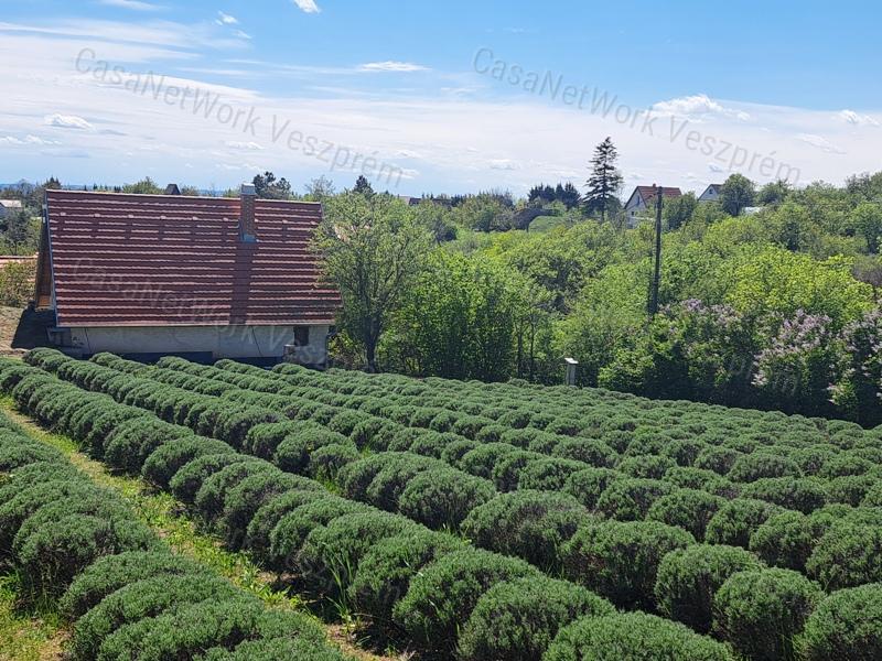 BALATON-FELVIDÉKI HÁZ BALATONI PANORÁMÁVAL, FELSŐÖRSÖN A TERMÉSZET OLDALÁN