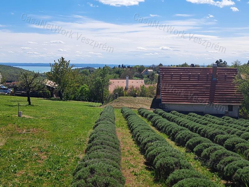 BALATON-FELVIDÉKI HÁZ BALATONI PANORÁMÁVAL, FELSŐÖRSÖN A TERMÉSZET OLDALÁN