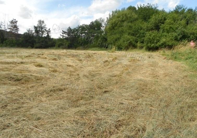 Befektetők figyelem! - eladó építési telek Balatonfűzfőn