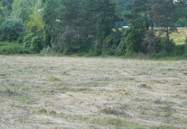 Befektetők figyelem! - eladó építési telek Balatonfűzfőn